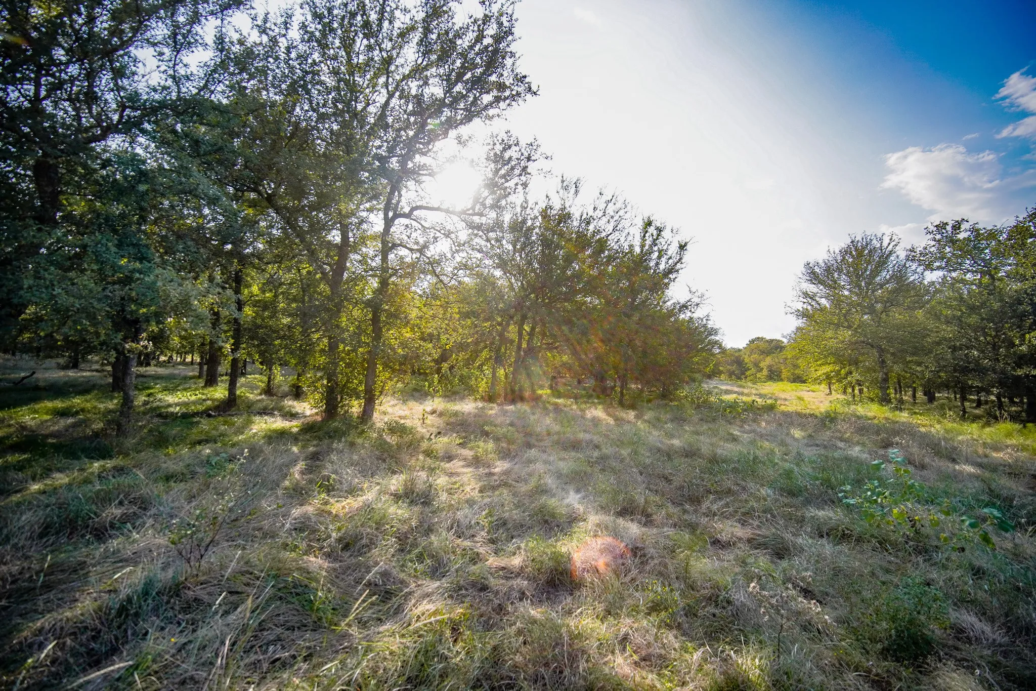 Unimproved Land For Sale in Jack County , 99.97 Acres S 281 Highway, Perrin, Texas 76486, 0, 0, Garage spaces, 0 Sqft, built in 0, mls#21075453, Real Estate Agent in Perrin, Homes For Sale in Jack county, Homes For Sale in Perrin, Realtor in Perrin Texas, Real Estate Brokerage Independent Realty Texas, Luminita Cordes Realtor