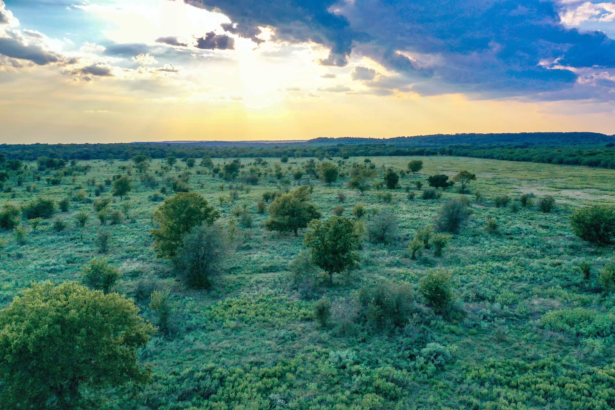 Unimproved Land For Sale in Jack County , 99.97 Acres S 281 Highway, Perrin, Texas 76486, 0, 0, Garage spaces, 0 Sqft, built in 0, mls#21075453, Real Estate Agent in Perrin, Homes For Sale in Jack county, Homes For Sale in Perrin, Realtor in Perrin Texas, Real Estate Brokerage Independent Realty Texas, Luminita Cordes Realtor