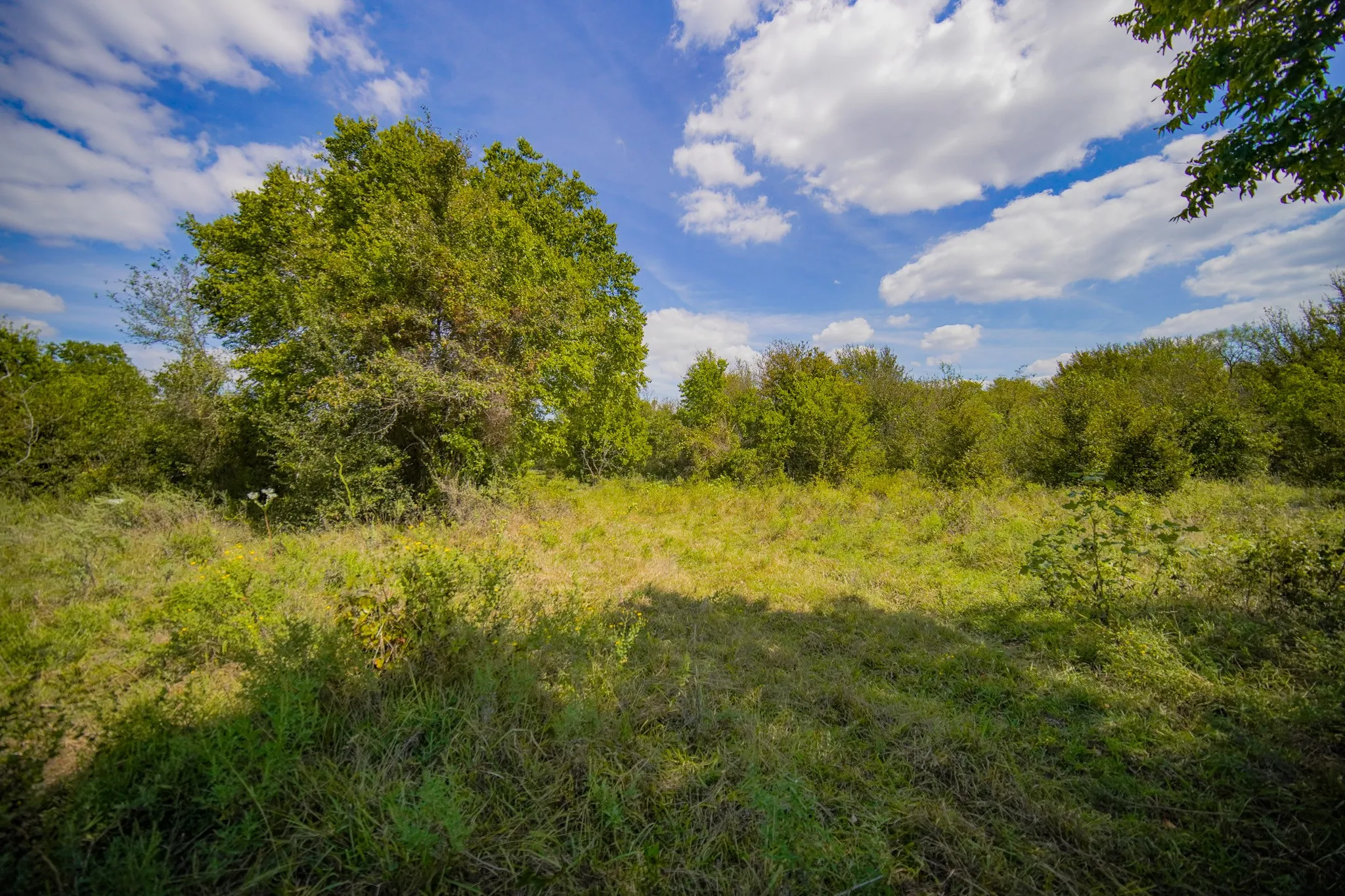 Unimproved Land For Sale in Jack County , 99.97 Acres S 281 Highway, Perrin, Texas 76486, 0, 0, Garage spaces, 0 Sqft, built in 0, mls#21075453, Real Estate Agent in Perrin, Homes For Sale in Jack county, Homes For Sale in Perrin, Realtor in Perrin Texas, Real Estate Brokerage Independent Realty Texas, Luminita Cordes Realtor