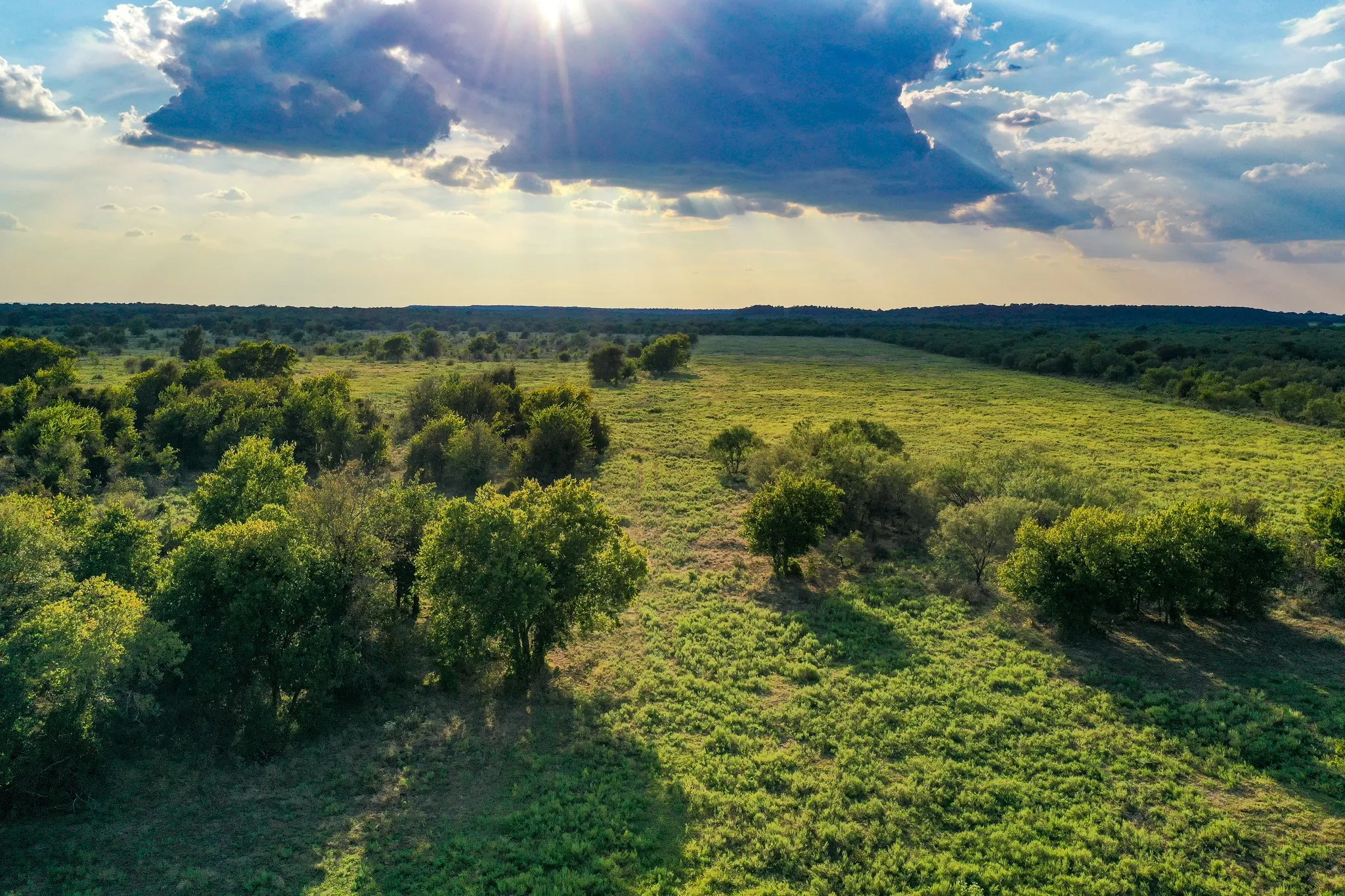 Unimproved Land For Sale in Jack County , 99.97 Acres S 281 Highway, Perrin, Texas 76486, 0, 0, Garage spaces, 0 Sqft, built in 0, mls#21075453, Real Estate Agent in Perrin, Homes For Sale in Jack county, Homes For Sale in Perrin, Realtor in Perrin Texas, Real Estate Brokerage Independent Realty Texas, Luminita Cordes Realtor