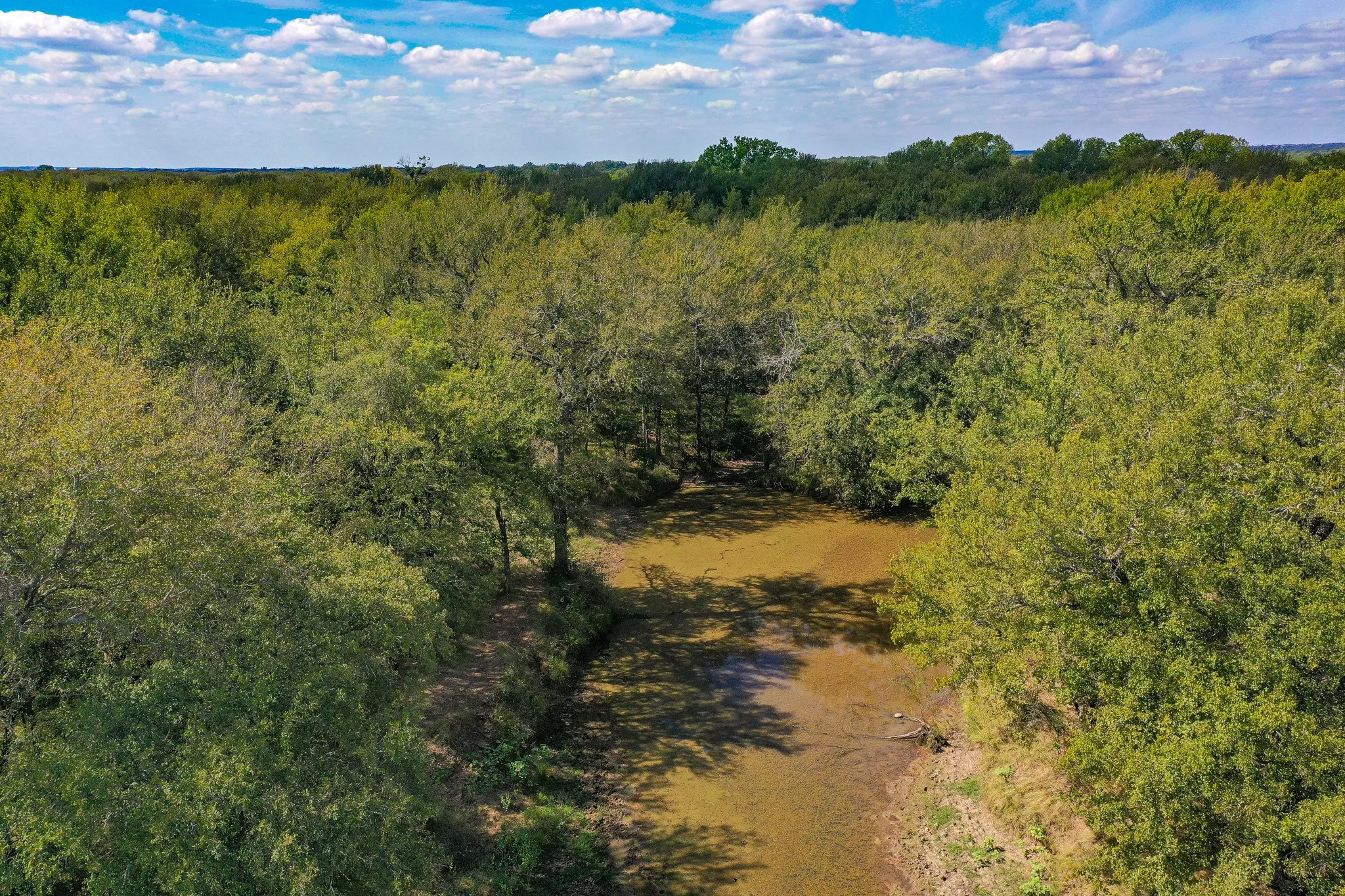 Unimproved Land For Sale in Jack County , 99.97 Acres S 281 Highway, Perrin, Texas 76486, 0, 0, Garage spaces, 0 Sqft, built in 0, mls#21075453, Real Estate Agent in Perrin, Homes For Sale in Jack county, Homes For Sale in Perrin, Realtor in Perrin Texas, Real Estate Brokerage Independent Realty Texas, Luminita Cordes Realtor