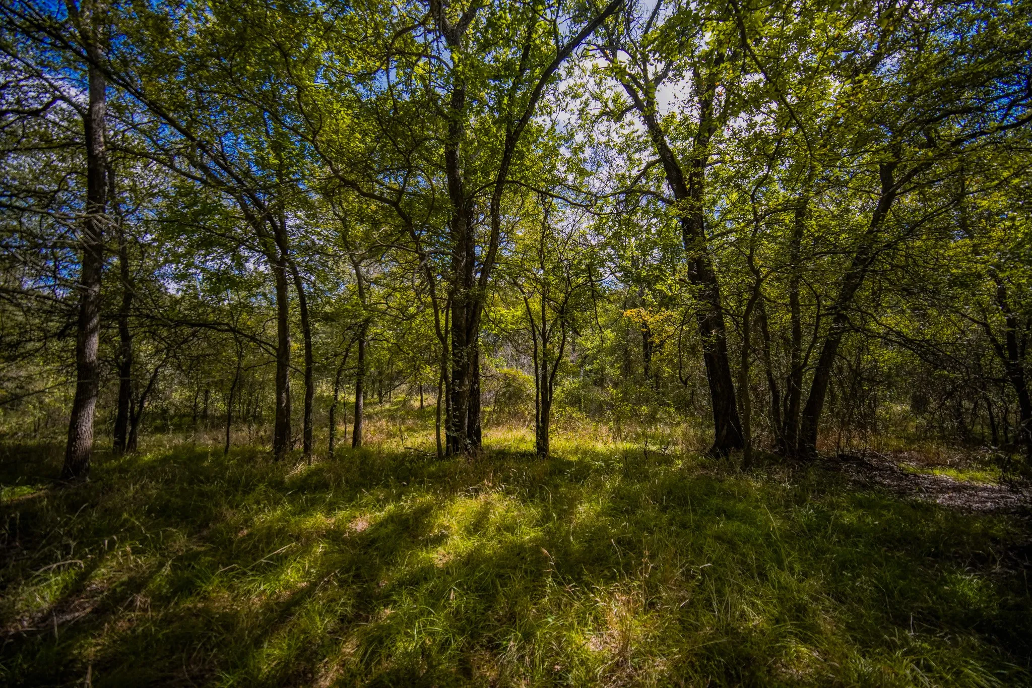 Unimproved Land For Sale in Jack County , 99.97 Acres S 281 Highway, Perrin, Texas 76486, 0, 0, Garage spaces, 0 Sqft, built in 0, mls#21075453, Real Estate Agent in Perrin, Homes For Sale in Jack county, Homes For Sale in Perrin, Realtor in Perrin Texas, Real Estate Brokerage Independent Realty Texas, Luminita Cordes Realtor