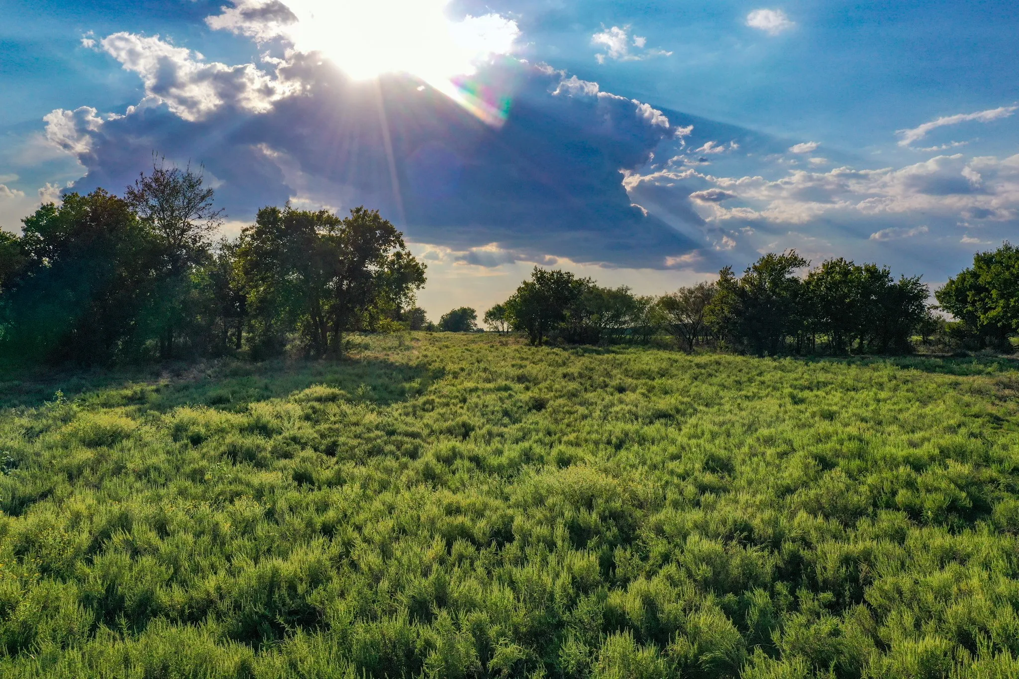 Unimproved Land For Sale in Jack County , 99.97 Acres S 281 Highway, Perrin, Texas 76486, 0, 0, Garage spaces, 0 Sqft, built in 0, mls#21075453, Real Estate Agent in Perrin, Homes For Sale in Jack county, Homes For Sale in Perrin, Realtor in Perrin Texas, Real Estate Brokerage Independent Realty Texas, Luminita Cordes Realtor