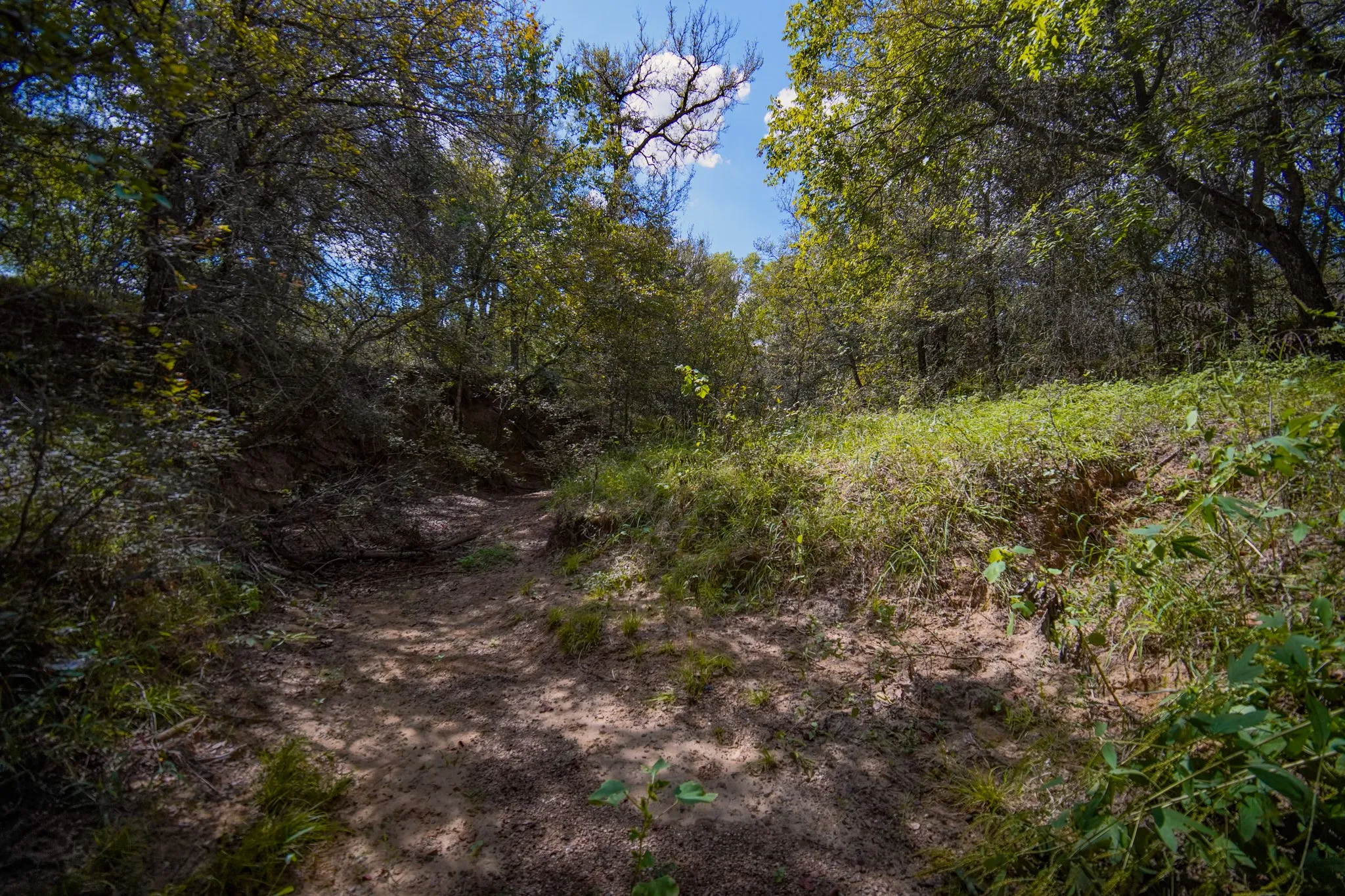 Unimproved Land For Sale in Jack County , 99.97 Acres S 281 Highway, Perrin, Texas 76486, 0, 0, Garage spaces, 0 Sqft, built in 0, mls#21075453, Real Estate Agent in Perrin, Homes For Sale in Jack county, Homes For Sale in Perrin, Realtor in Perrin Texas, Real Estate Brokerage Independent Realty Texas, Luminita Cordes Realtor
