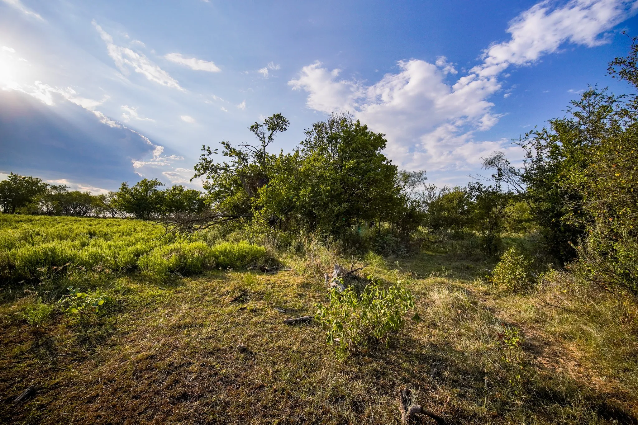 Unimproved Land For Sale in Jack County , 99.97 Acres S 281 Highway, Perrin, Texas 76486, 0, 0, Garage spaces, 0 Sqft, built in 0, mls#21075453, Real Estate Agent in Perrin, Homes For Sale in Jack county, Homes For Sale in Perrin, Realtor in Perrin Texas, Real Estate Brokerage Independent Realty Texas, Luminita Cordes Realtor