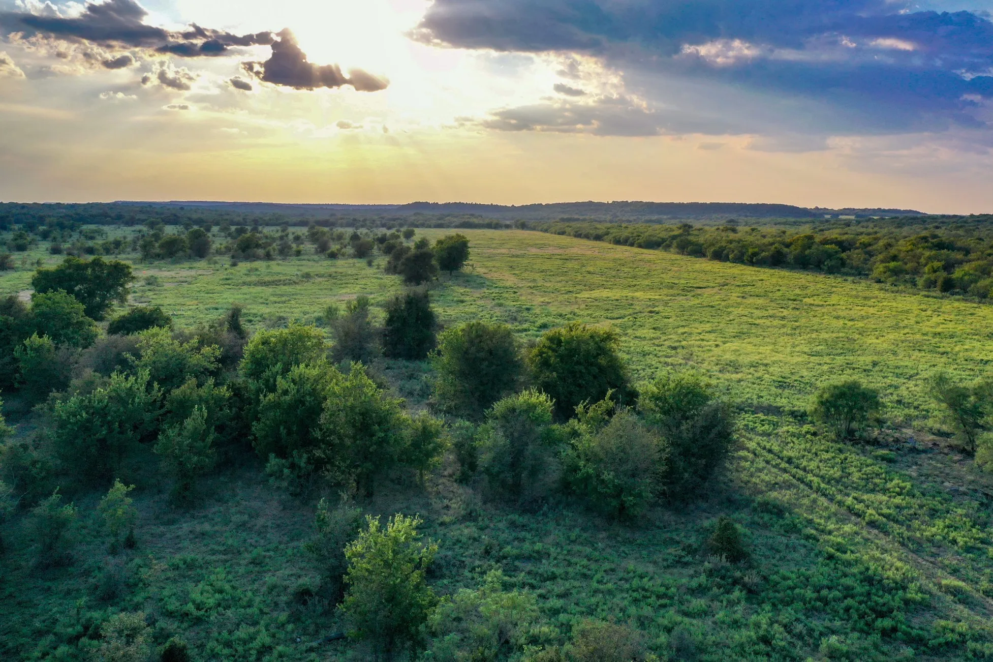 Unimproved Land For Sale in Jack County , 99.97 Acres S 281 Highway, Perrin, Texas 76486, 0, 0, Garage spaces, 0 Sqft, built in 0, mls#21075453, Real Estate Agent in Perrin, Homes For Sale in Jack county, Homes For Sale in Perrin, Realtor in Perrin Texas, Real Estate Brokerage Independent Realty Texas, Luminita Cordes Realtor