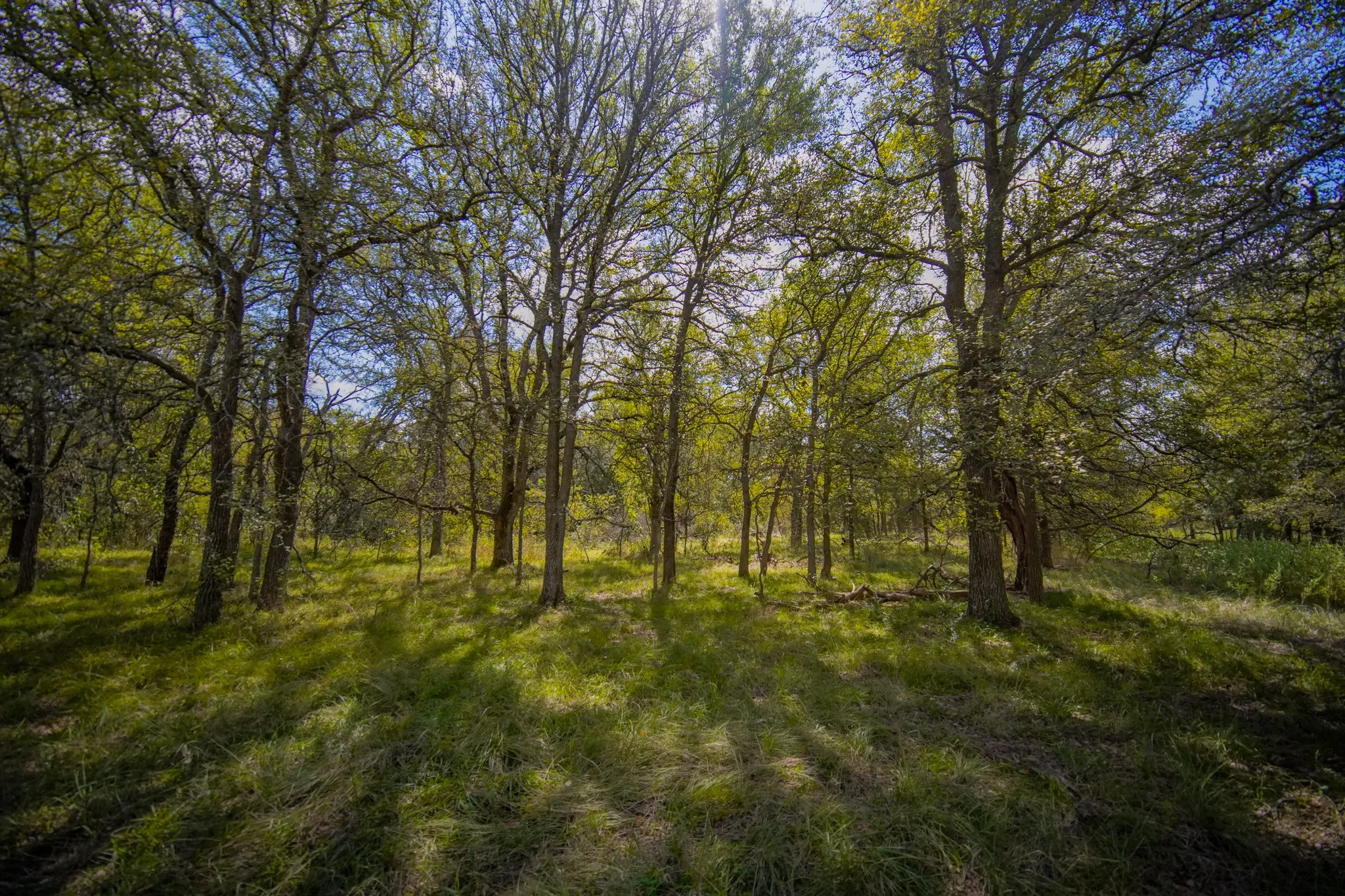 Unimproved Land For Sale in Jack County , 99.97 Acres S 281 Highway, Perrin, Texas 76486, 0, 0, Garage spaces, 0 Sqft, built in 0, mls#21075453, Real Estate Agent in Perrin, Homes For Sale in Jack county, Homes For Sale in Perrin, Realtor in Perrin Texas, Real Estate Brokerage Independent Realty Texas, Luminita Cordes Realtor