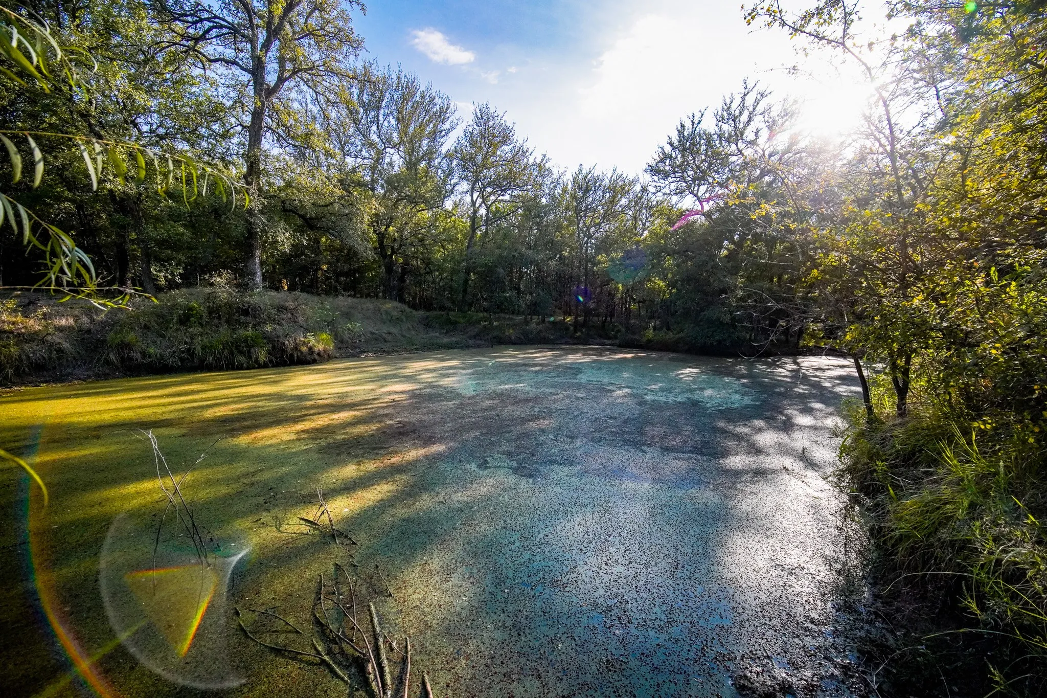 Unimproved Land For Sale in Jack County , 99.97 Acres S 281 Highway, Perrin, Texas 76486, 0, 0, Garage spaces, 0 Sqft, built in 0, mls#21075453, Real Estate Agent in Perrin, Homes For Sale in Jack county, Homes For Sale in Perrin, Realtor in Perrin Texas, Real Estate Brokerage Independent Realty Texas, Luminita Cordes Realtor