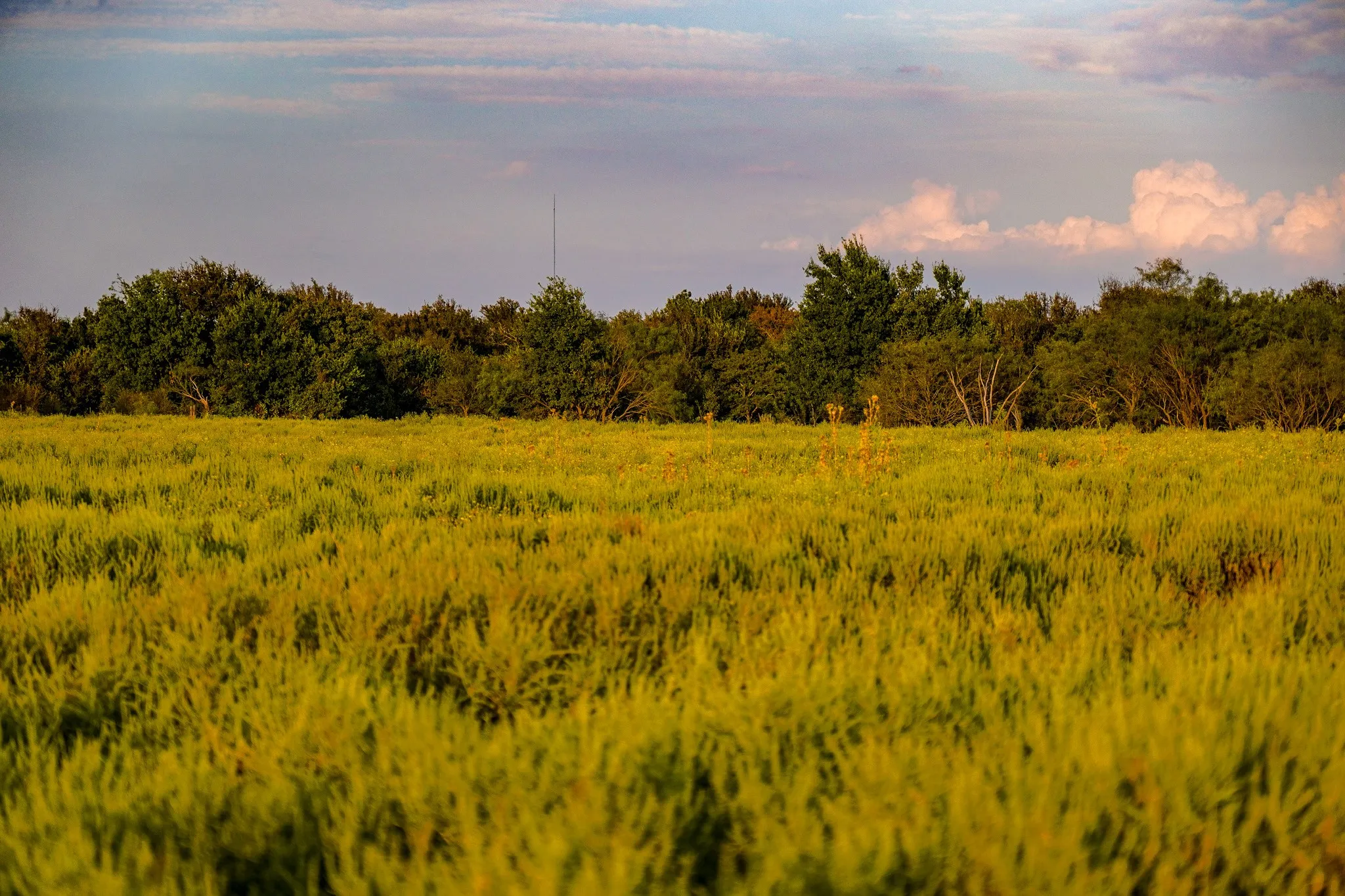 Unimproved Land For Sale in Jack County , 99.97 Acres S 281 Highway, Perrin, Texas 76486, 0, 0, Garage spaces, 0 Sqft, built in 0, mls#21075453, Real Estate Agent in Perrin, Homes For Sale in Jack county, Homes For Sale in Perrin, Realtor in Perrin Texas, Real Estate Brokerage Independent Realty Texas, Luminita Cordes Realtor
