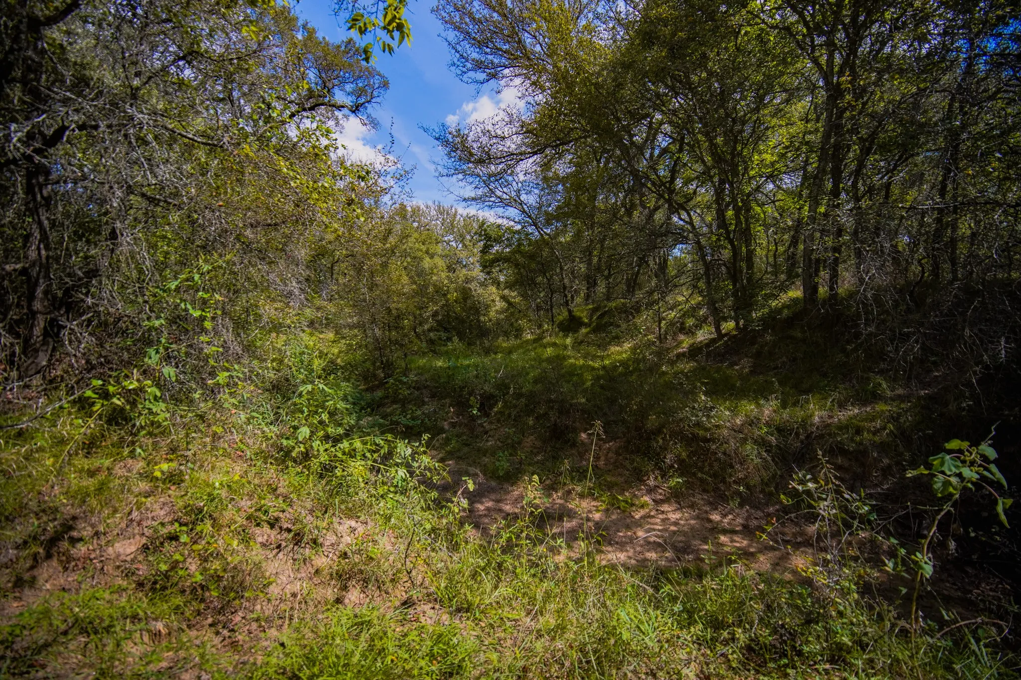 Unimproved Land For Sale in Jack County , 99.97 Acres S 281 Highway, Perrin, Texas 76486, 0, 0, Garage spaces, 0 Sqft, built in 0, mls#21075453, Real Estate Agent in Perrin, Homes For Sale in Jack county, Homes For Sale in Perrin, Realtor in Perrin Texas, Real Estate Brokerage Independent Realty Texas, Luminita Cordes Realtor