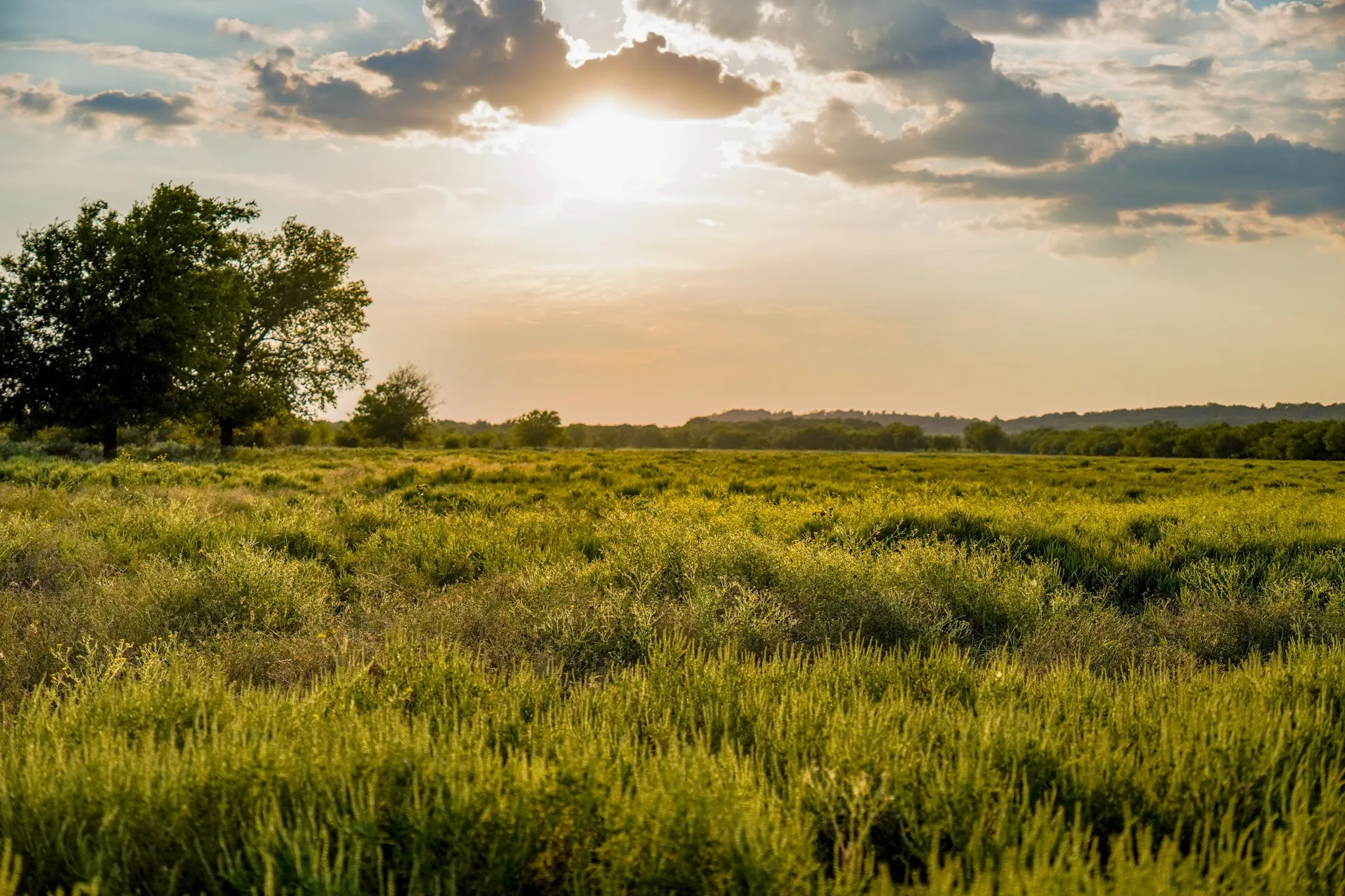 Unimproved Land For Sale in Jack County , 99.97 Acres S 281 Highway, Perrin, Texas 76486, 0, 0, Garage spaces, 0 Sqft, built in 0, mls#21075453, Real Estate Agent in Perrin, Homes For Sale in Jack county, Homes For Sale in Perrin, Realtor in Perrin Texas, Real Estate Brokerage Independent Realty Texas, Luminita Cordes Realtor