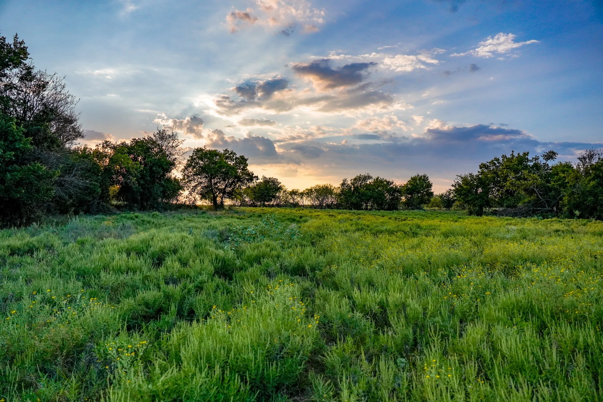 Unimproved Land For Sale in Jack County , 99.97 Acres S 281 Highway, Perrin, Texas 76486, 0, 0, Garage spaces, 0 Sqft, built in 0, mls#21075453, Real Estate Agent in Perrin, Homes For Sale in Jack county, Homes For Sale in Perrin, Realtor in Perrin Texas, Real Estate Brokerage Independent Realty Texas, Luminita Cordes Realtor