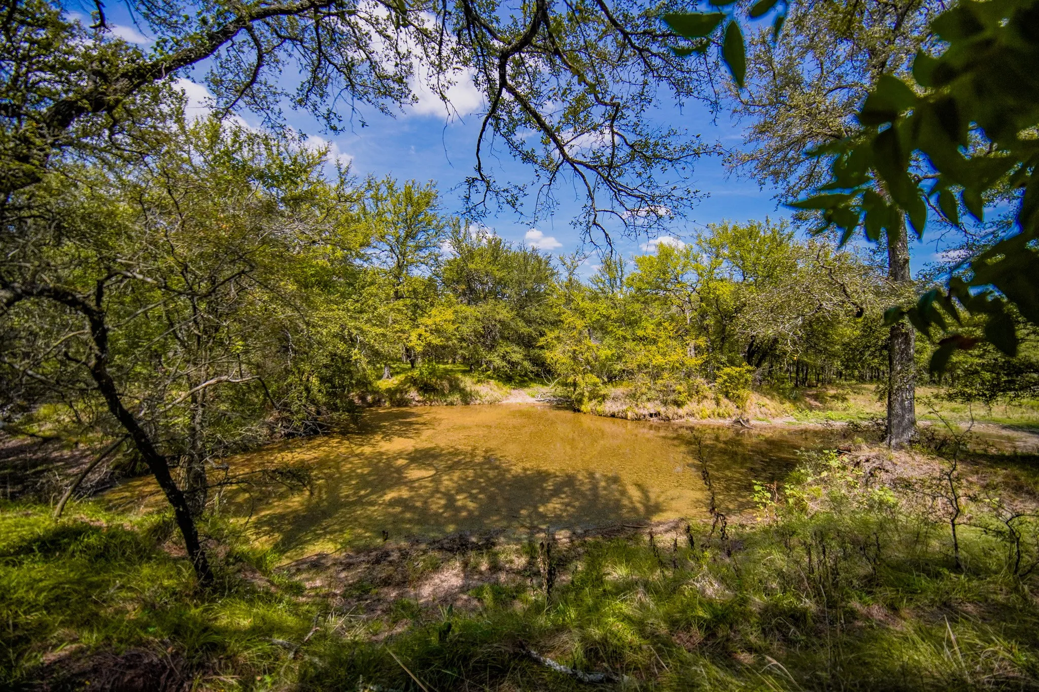 Unimproved Land For Sale in Jack County , 99.97 Acres S 281 Highway, Perrin, Texas 76486, 0, 0, Garage spaces, 0 Sqft, built in 0, mls#21075453, Real Estate Agent in Perrin, Homes For Sale in Jack county, Homes For Sale in Perrin, Realtor in Perrin Texas, Real Estate Brokerage Independent Realty Texas, Luminita Cordes Realtor