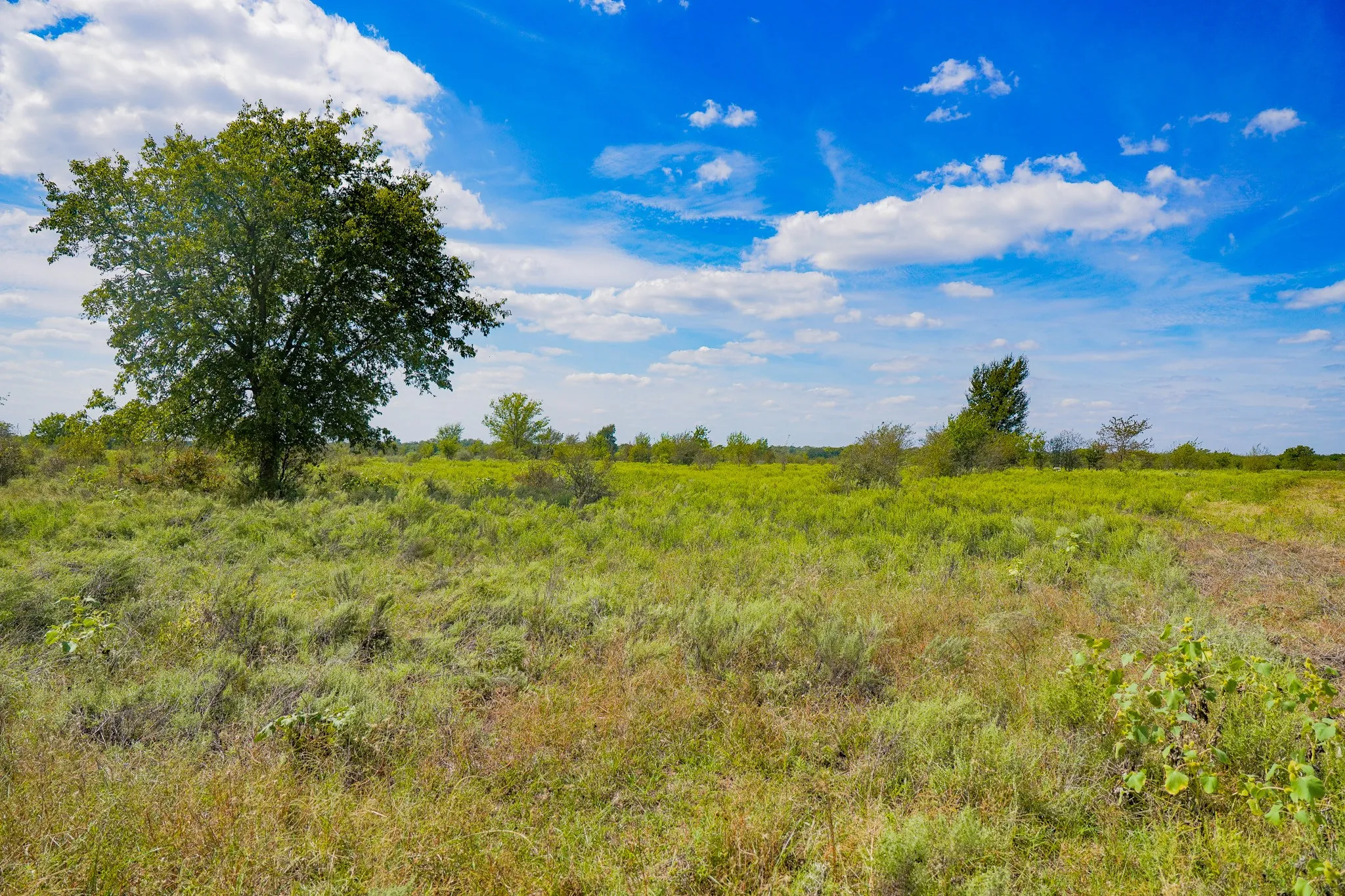 Unimproved Land For Sale in Jack County , 99.97 Acres S 281 Highway, Perrin, Texas 76486, 0, 0, Garage spaces, 0 Sqft, built in 0, mls#21075453, Real Estate Agent in Perrin, Homes For Sale in Jack county, Homes For Sale in Perrin, Realtor in Perrin Texas, Real Estate Brokerage Independent Realty Texas, Luminita Cordes Realtor