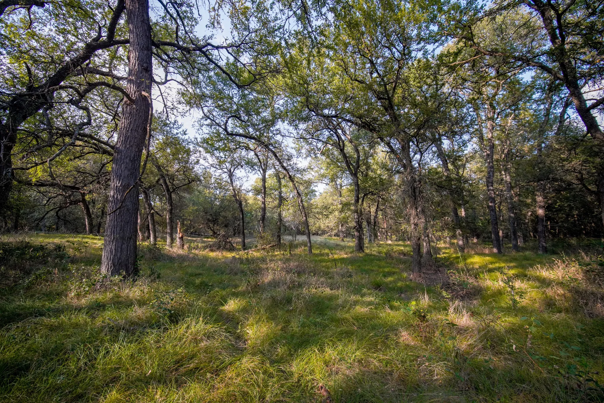 Unimproved Land For Sale in Jack County , 99.97 Acres S 281 Highway, Perrin, Texas 76486, 0, 0, Garage spaces, 0 Sqft, built in 0, mls#21075453, Real Estate Agent in Perrin, Homes For Sale in Jack county, Homes For Sale in Perrin, Realtor in Perrin Texas, Real Estate Brokerage Independent Realty Texas, Luminita Cordes Realtor