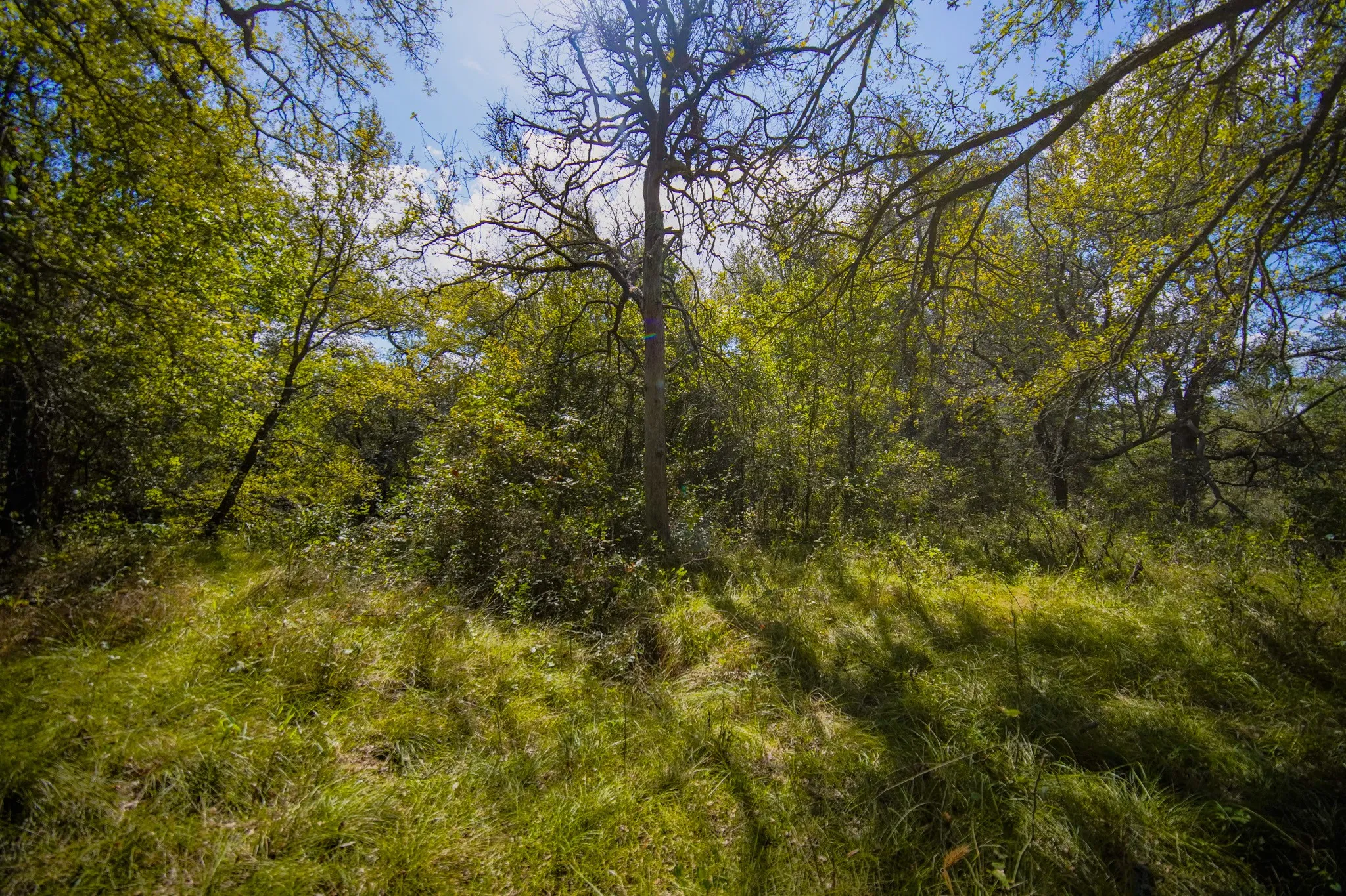 Unimproved Land For Sale in Jack County , 99.97 Acres S 281 Highway, Perrin, Texas 76486, 0, 0, Garage spaces, 0 Sqft, built in 0, mls#21075453, Real Estate Agent in Perrin, Homes For Sale in Jack county, Homes For Sale in Perrin, Realtor in Perrin Texas, Real Estate Brokerage Independent Realty Texas, Luminita Cordes Realtor