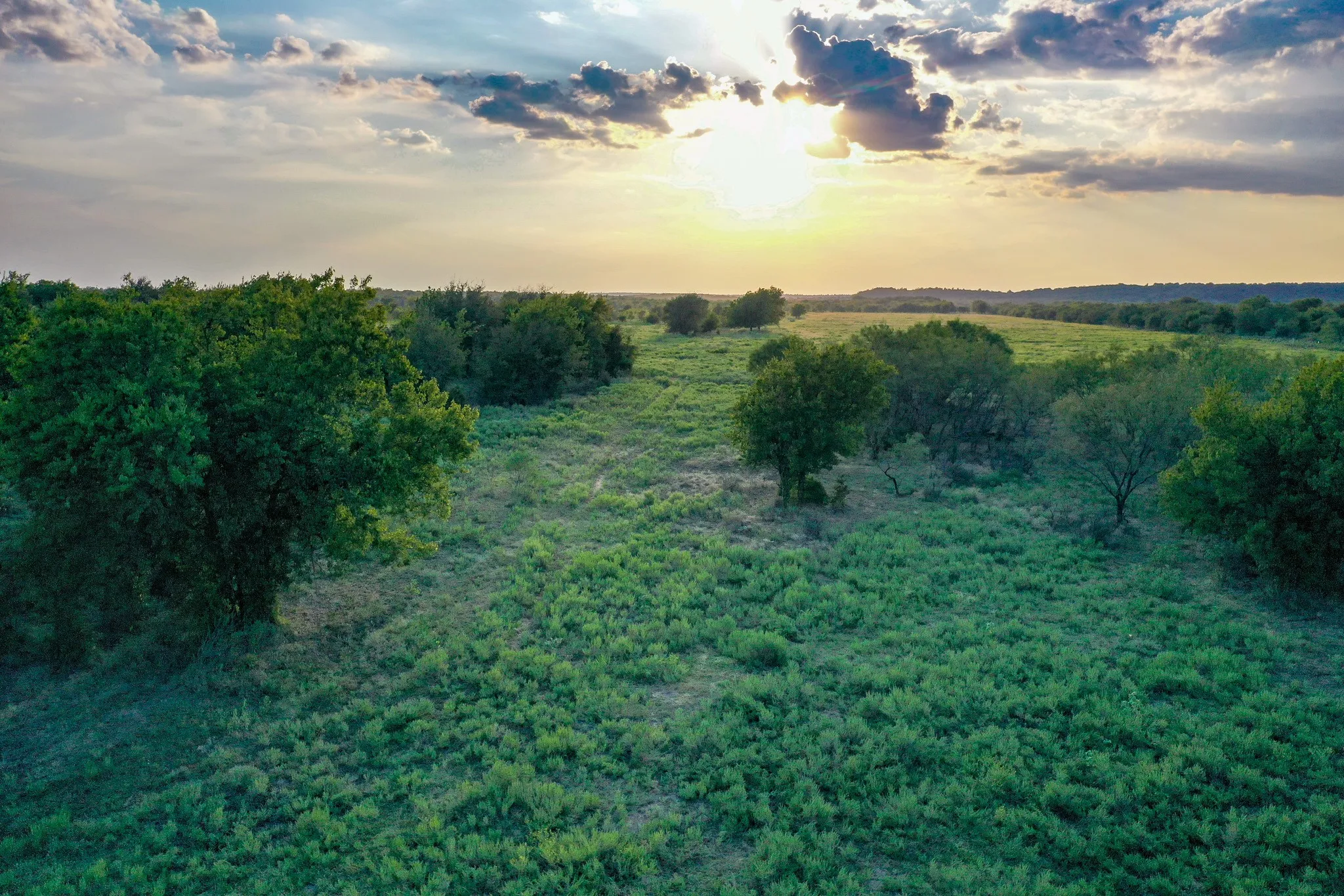 Unimproved Land For Sale in Jack County , 99.97 Acres S 281 Highway, Perrin, Texas 76486, 0, 0, Garage spaces, 0 Sqft, built in 0, mls#21075453, Real Estate Agent in Perrin, Homes For Sale in Jack county, Homes For Sale in Perrin, Realtor in Perrin Texas, Real Estate Brokerage Independent Realty Texas, Luminita Cordes Realtor
