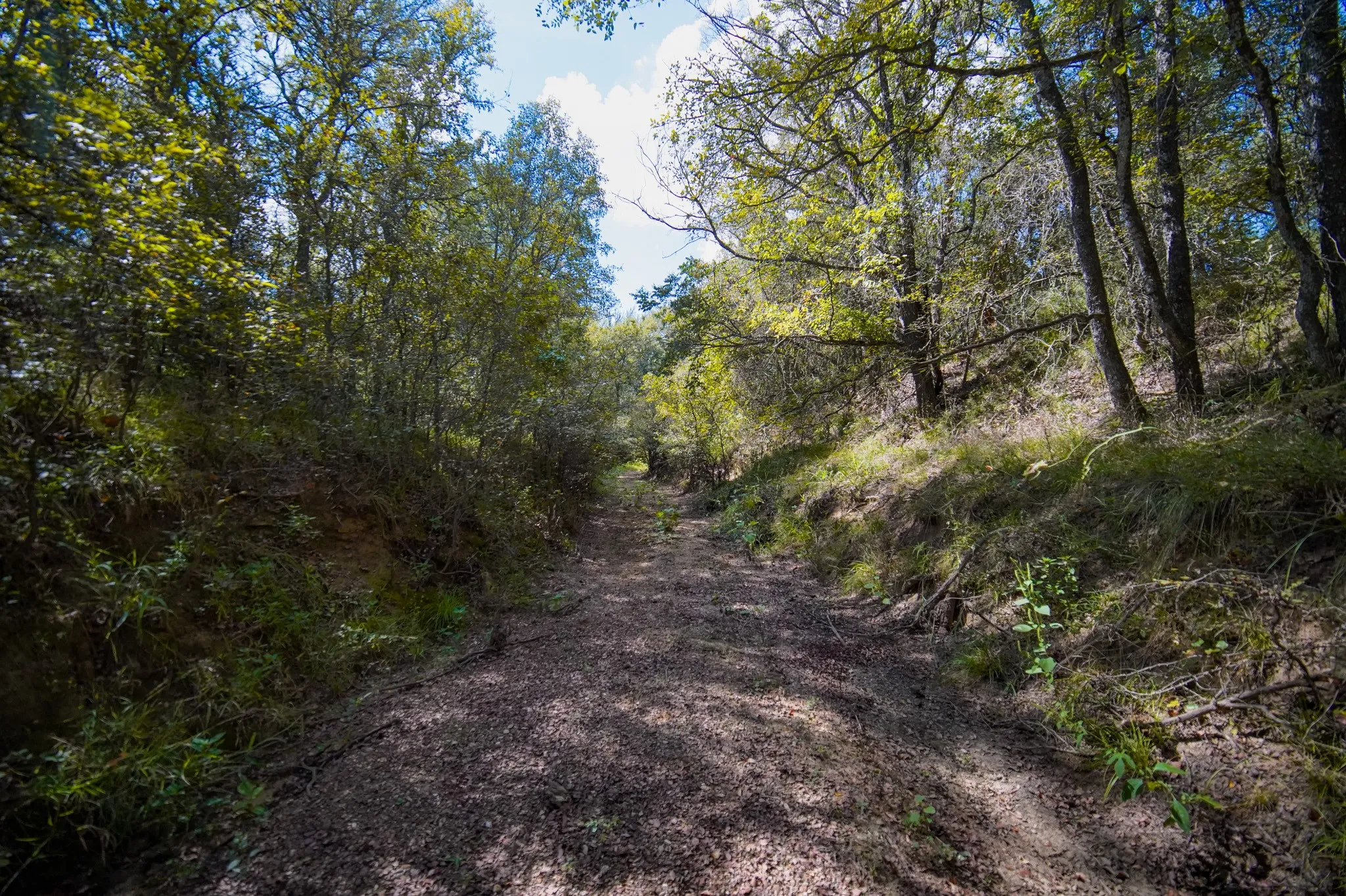 Unimproved Land For Sale in Jack County , 99.97 Acres S 281 Highway, Perrin, Texas 76486, 0, 0, Garage spaces, 0 Sqft, built in 0, mls#21075453, Real Estate Agent in Perrin, Homes For Sale in Jack county, Homes For Sale in Perrin, Realtor in Perrin Texas, Real Estate Brokerage Independent Realty Texas, Luminita Cordes Realtor