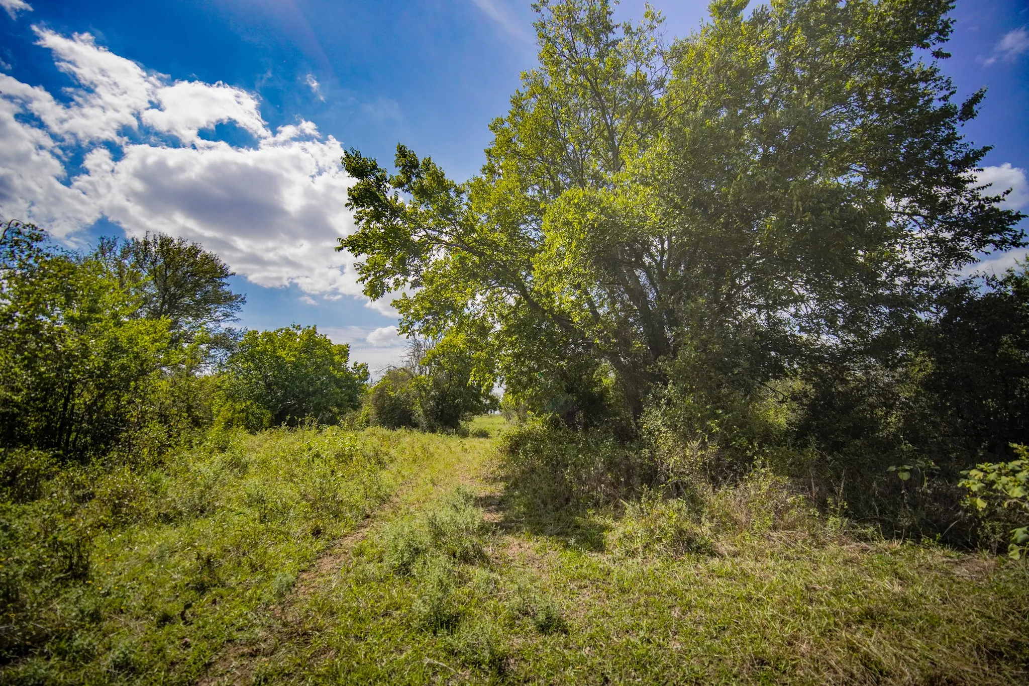 Unimproved Land For Sale in Jack County , 99.97 Acres S 281 Highway, Perrin, Texas 76486, 0, 0, Garage spaces, 0 Sqft, built in 0, mls#21075453, Real Estate Agent in Perrin, Homes For Sale in Jack county, Homes For Sale in Perrin, Realtor in Perrin Texas, Real Estate Brokerage Independent Realty Texas, Luminita Cordes Realtor