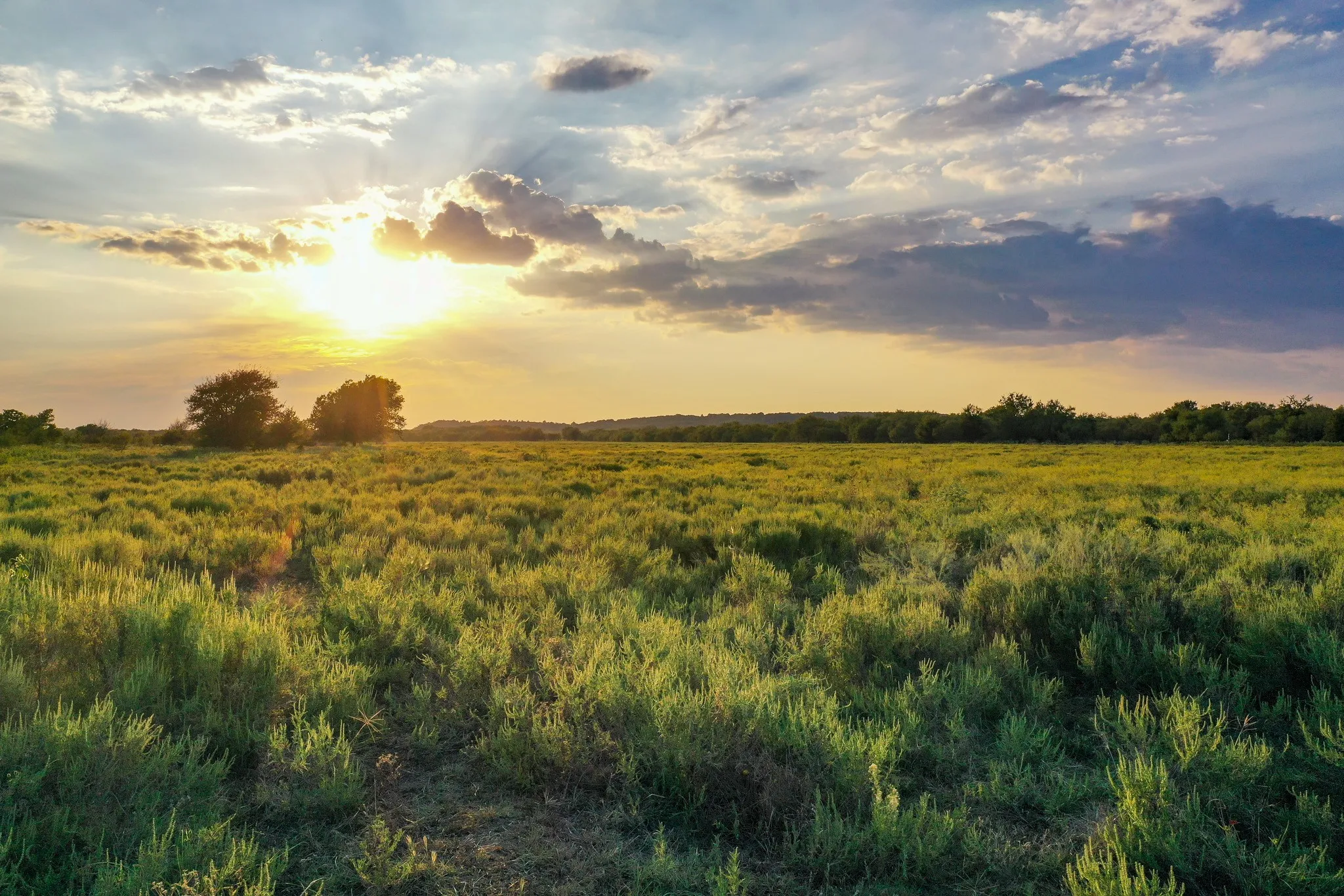Unimproved Land For Sale in Jack County , 99.97 Acres S 281 Highway, Perrin, Texas 76486, 0, 0, Garage spaces, 0 Sqft, built in 0, mls#21075453, Real Estate Agent in Perrin, Homes For Sale in Jack county, Homes For Sale in Perrin, Realtor in Perrin Texas, Real Estate Brokerage Independent Realty Texas, Luminita Cordes Realtor