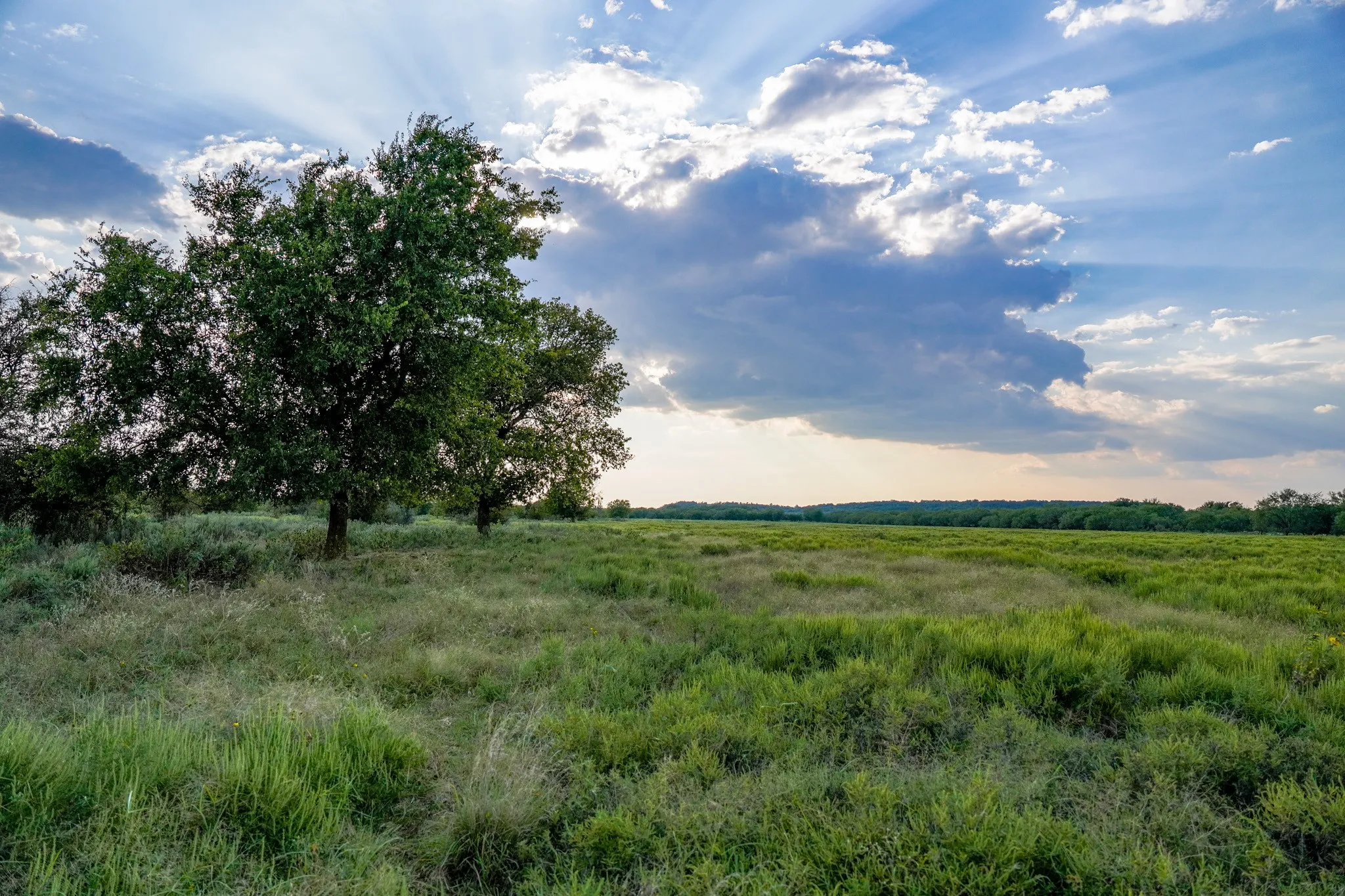 Unimproved Land For Sale in Jack County , 99.97 Acres S 281 Highway, Perrin, Texas 76486, 0, 0, Garage spaces, 0 Sqft, built in 0, mls#21075453, Real Estate Agent in Perrin, Homes For Sale in Jack county, Homes For Sale in Perrin, Realtor in Perrin Texas, Real Estate Brokerage Independent Realty Texas, Luminita Cordes Realtor