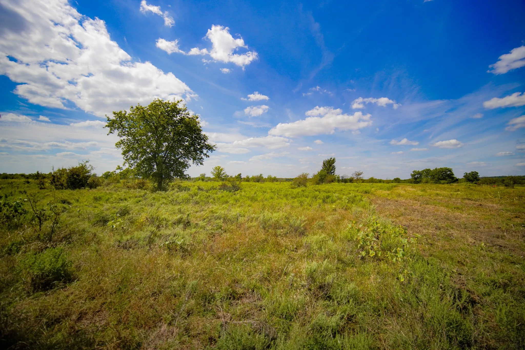 Unimproved Land For Sale in Jack County , 99.97 Acres S 281 Highway, Perrin, Texas 76486, 0, 0, Garage spaces, 0 Sqft, built in 0, mls#21075453, Real Estate Agent in Perrin, Homes For Sale in Jack county, Homes For Sale in Perrin, Realtor in Perrin Texas, Real Estate Brokerage Independent Realty Texas, Luminita Cordes Realtor