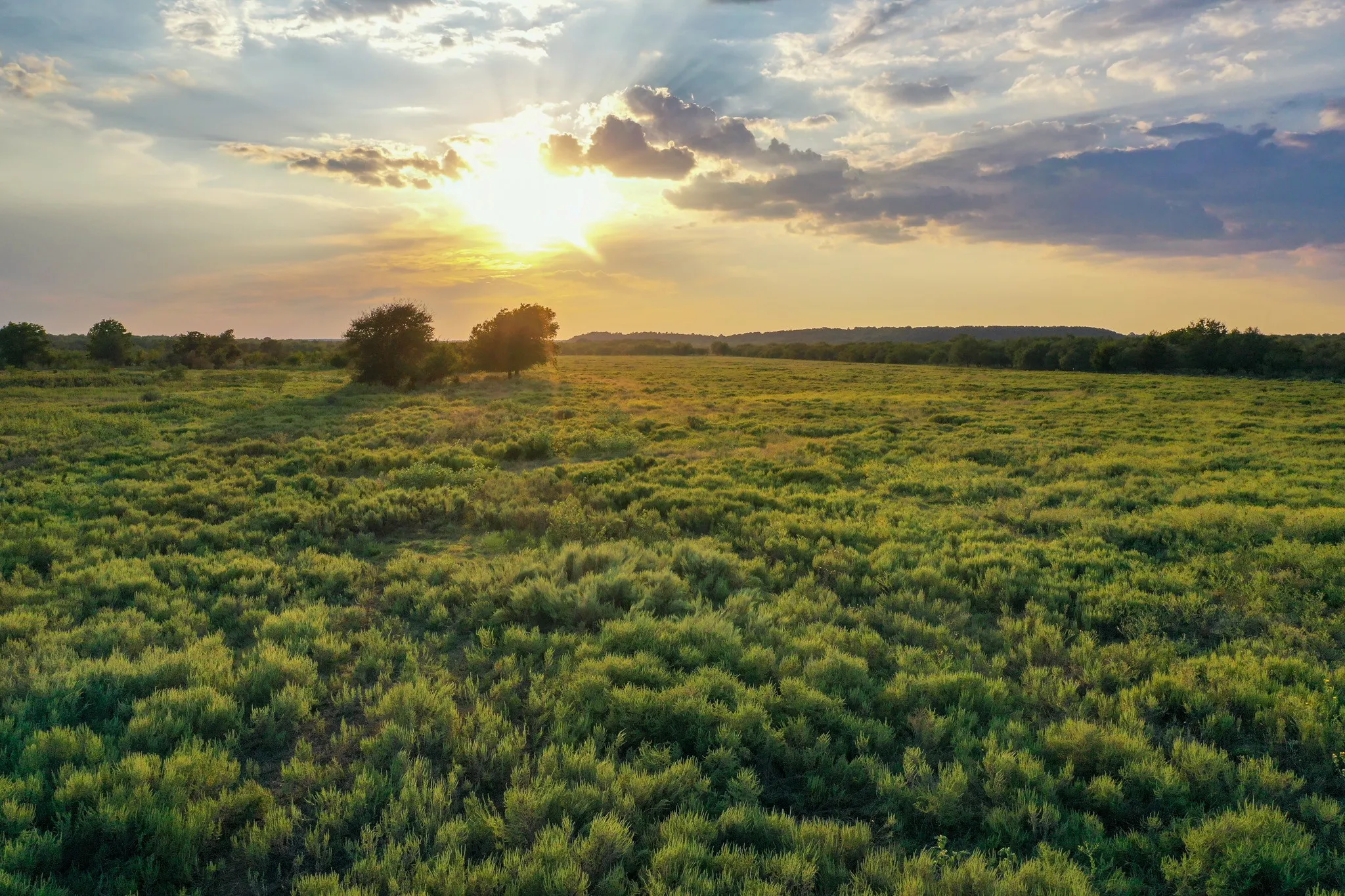 Unimproved Land For Sale in Jack County , 99.97 Acres S 281 Highway, Perrin, Texas 76486, 0, 0, Garage spaces, 0 Sqft, built in 0, mls#21075453, Real Estate Agent in Perrin, Homes For Sale in Jack county, Homes For Sale in Perrin, Realtor in Perrin Texas, Real Estate Brokerage Independent Realty Texas, Luminita Cordes Realtor