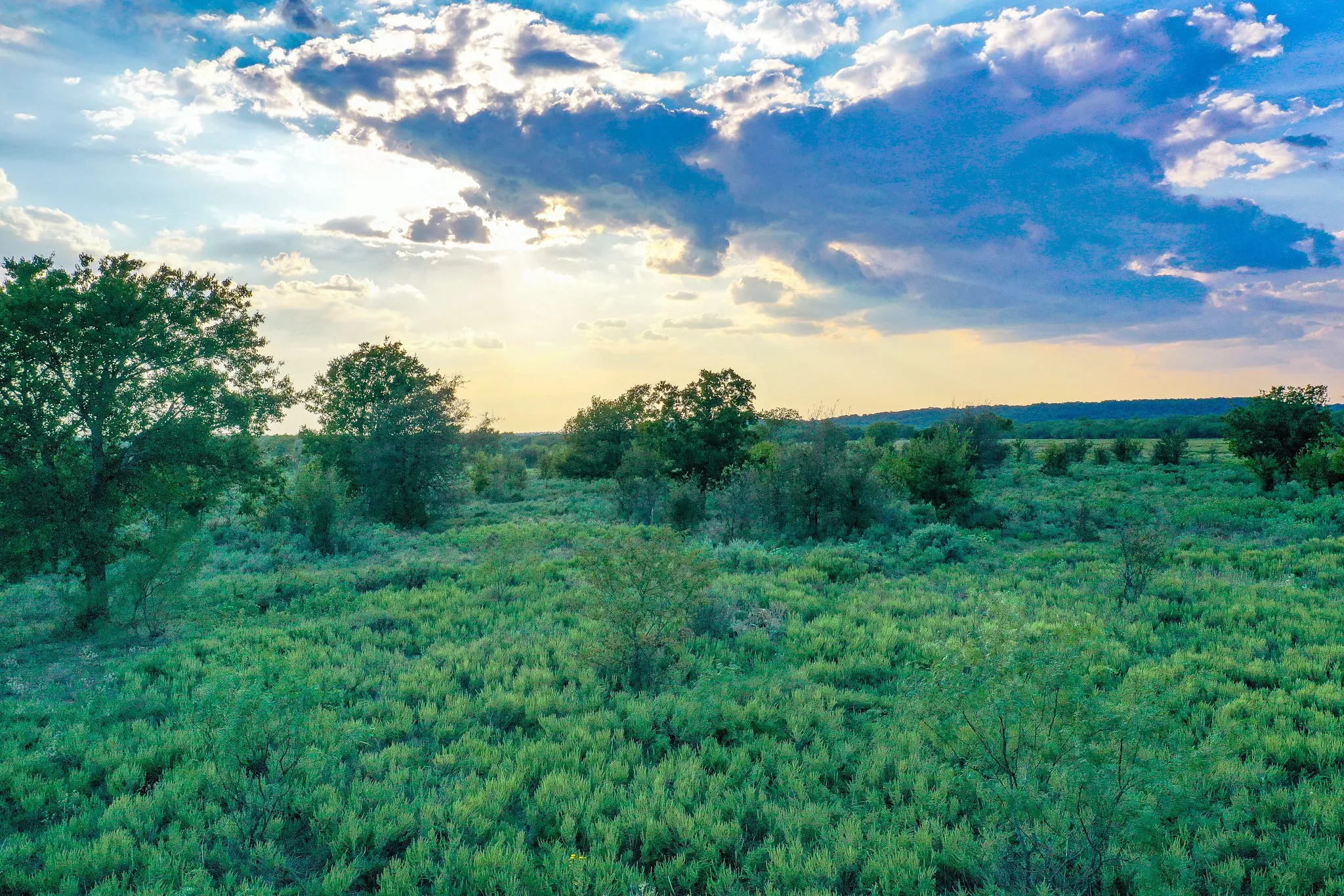 Unimproved Land For Sale in Jack County , 99.97 Acres S 281 Highway, Perrin, Texas 76486, 0, 0, Garage spaces, 0 Sqft, built in 0, mls#21075453, Real Estate Agent in Perrin, Homes For Sale in Jack county, Homes For Sale in Perrin, Realtor in Perrin Texas, Real Estate Brokerage Independent Realty Texas, Luminita Cordes Realtor