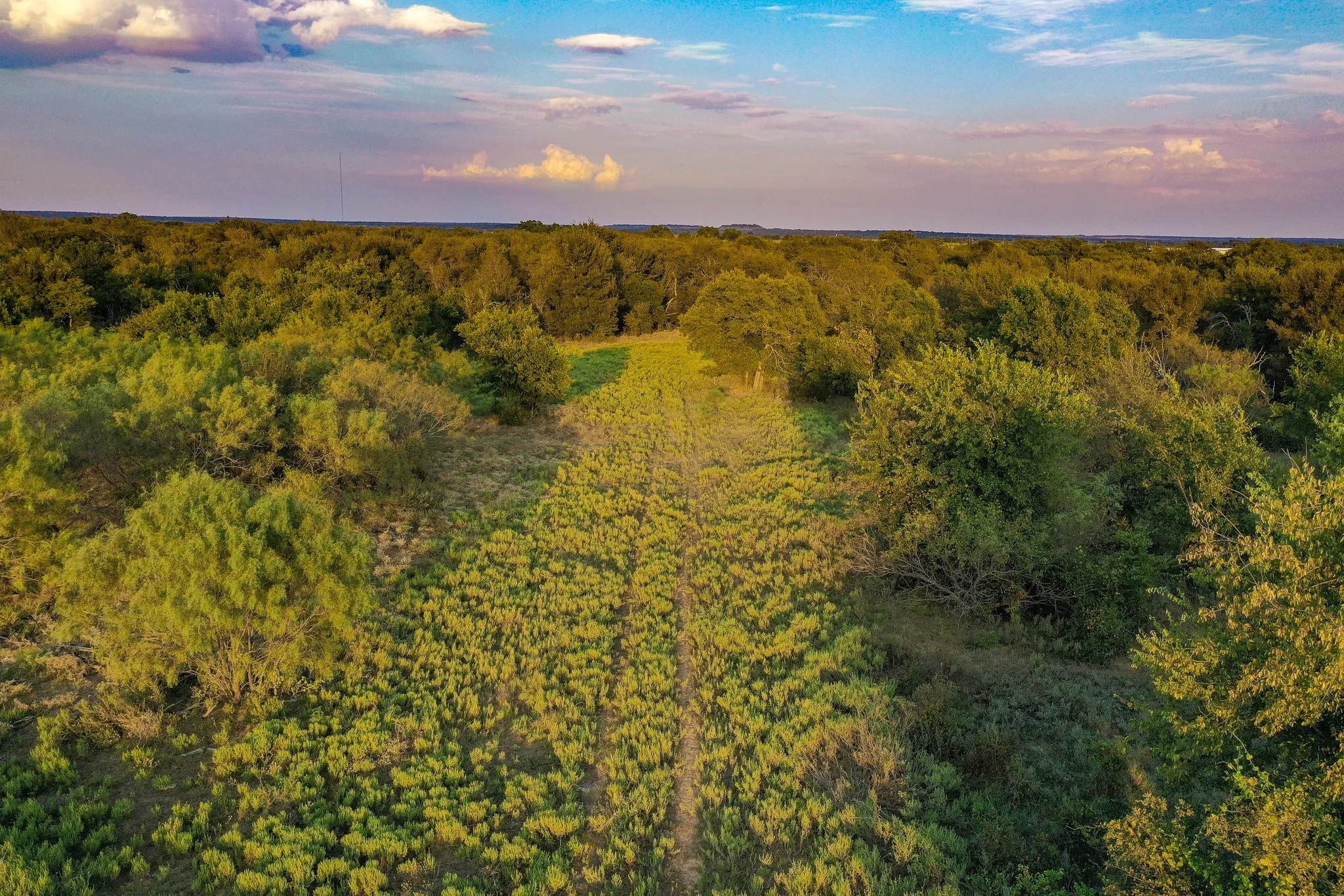 Unimproved Land For Sale in Jack County , 99.97 Acres S 281 Highway, Perrin, Texas 76486, 0, 0, Garage spaces, 0 Sqft, built in 0, mls#21075453, Real Estate Agent in Perrin, Homes For Sale in Jack county, Homes For Sale in Perrin, Realtor in Perrin Texas, Real Estate Brokerage Independent Realty Texas, Luminita Cordes Realtor