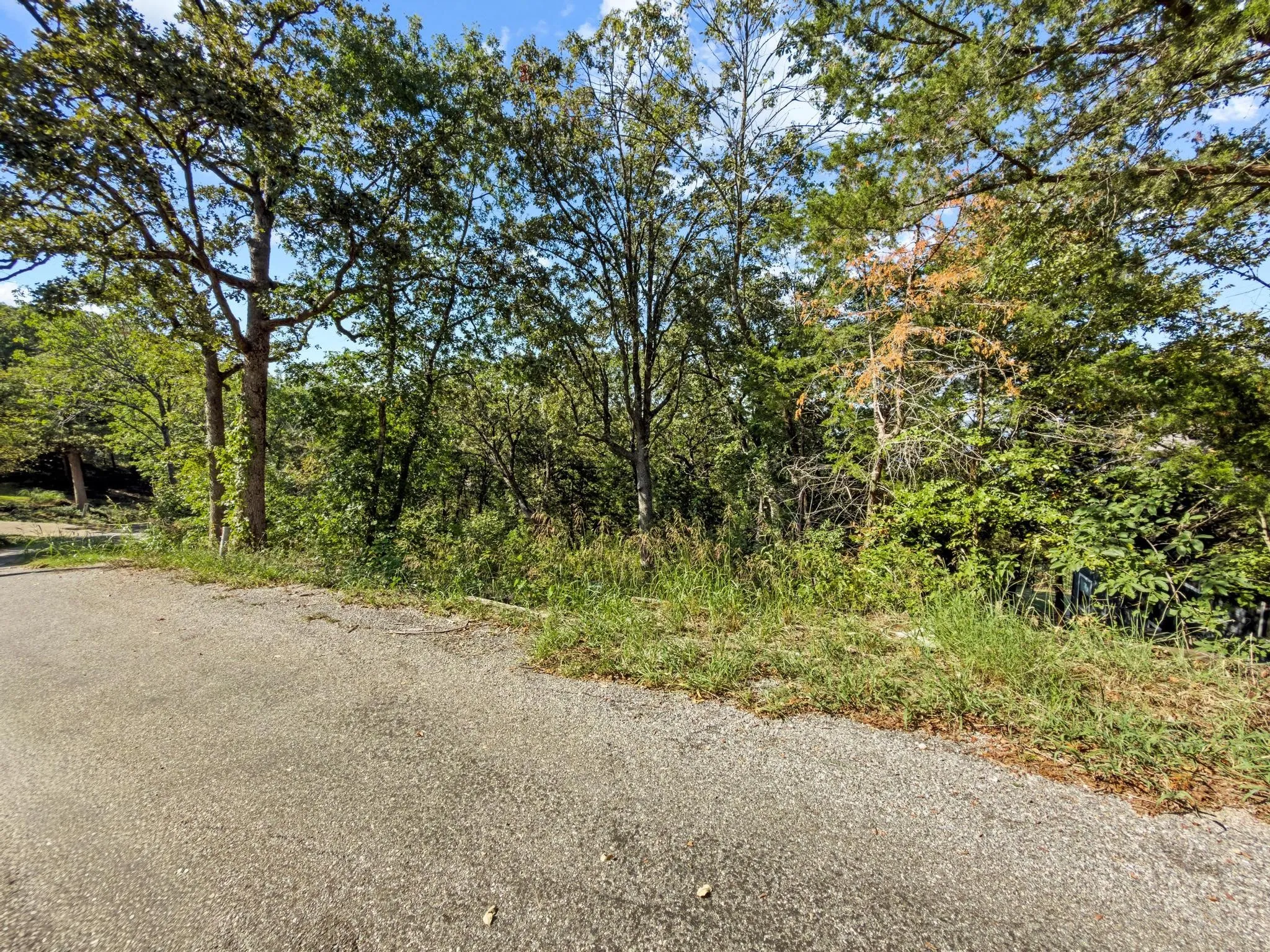 Unimproved Land For Sale in Grayson County , 210 Walnut Lane, Pottsboro, Texas 75076, 0, 0, Garage spaces, 0 Sqft, built in 0, Price $199,000, mls#21077932, Real Estate Agent in Pottsboro, Homes For Sale in Grayson county, Homes For Sale in Pottsboro, Realtor in Pottsboro Texas, Real Estate Brokerage Independent Realty Texas, Luminita Cordes Realtor