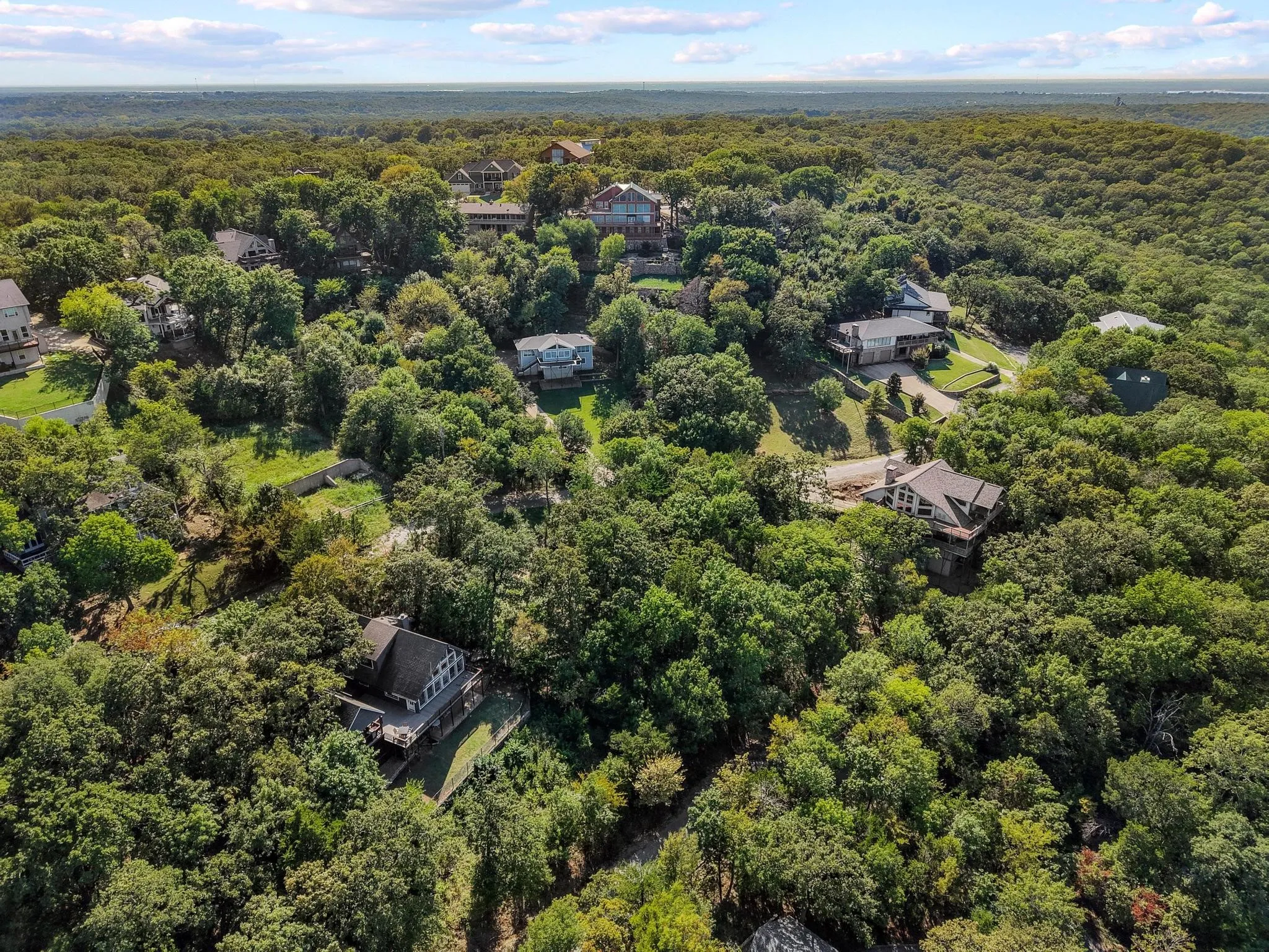 Aerial view of a forest
