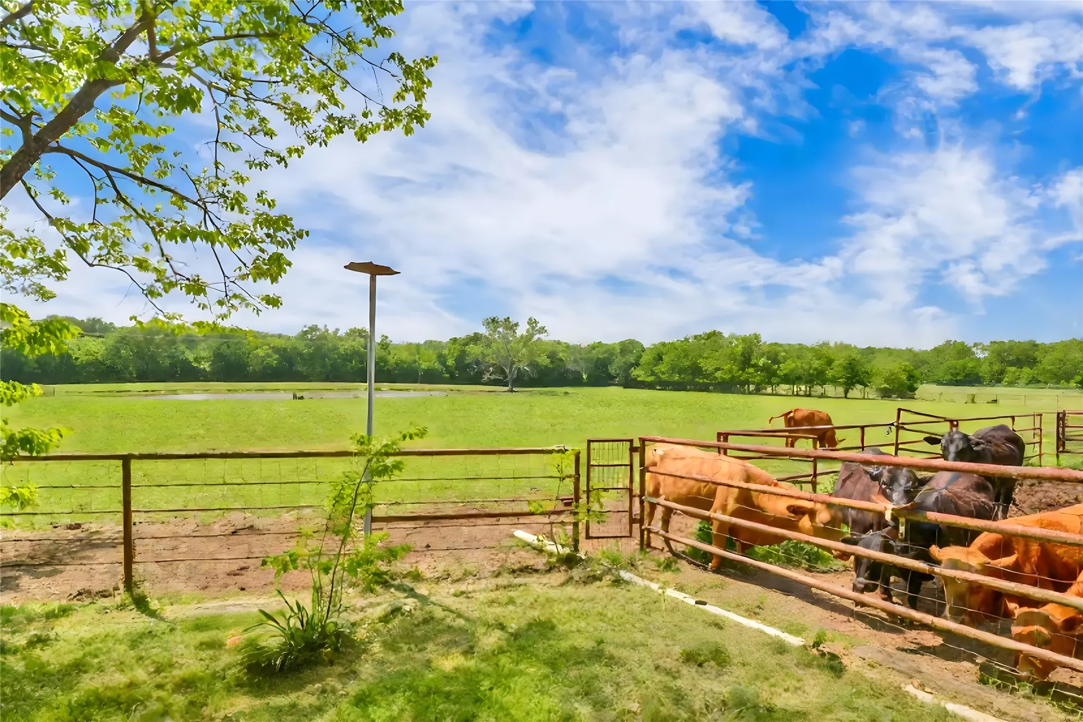 Single Family Residence For Sale in Denton County , 6565 Rockridge, Aubrey, Texas 76227, 4 Bedroom, 6 Bathroom, 3 Garage spaces, 6,595 Sqft, built in 2010, mls#21076939, Real Estate Agent in Aubrey, Homes For Sale in Denton county, Homes For Sale in Aubrey, Realtor in Aubrey Texas, Real Estate Brokerage Independent Realty Texas, Luminita Cordes Realtor