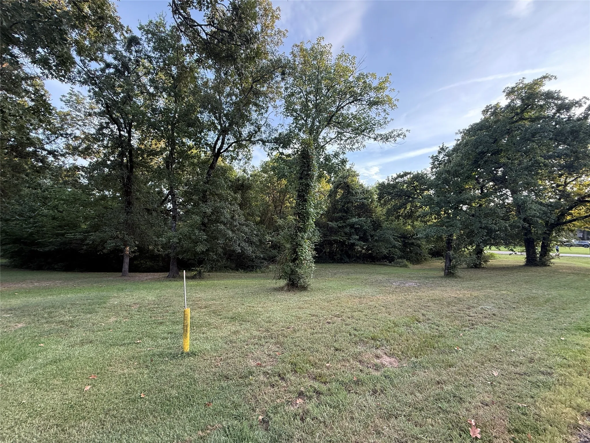 View of green lawn