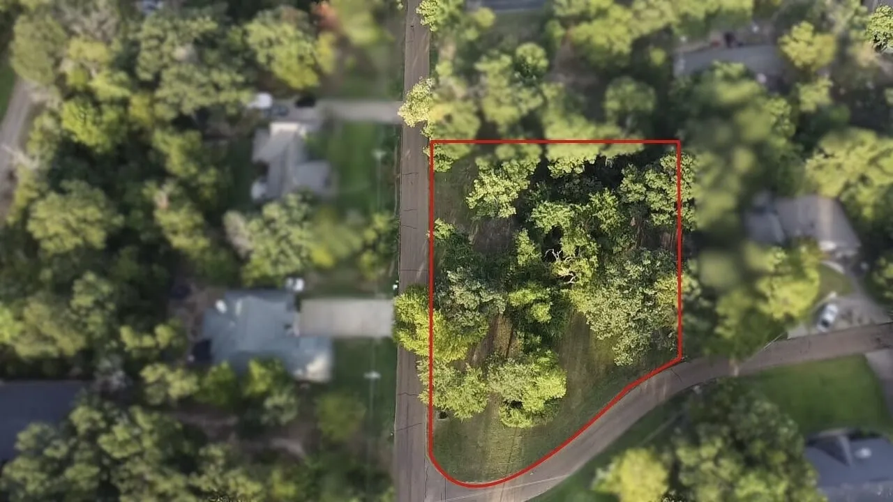 Bird's eye view of a tree filled landscape