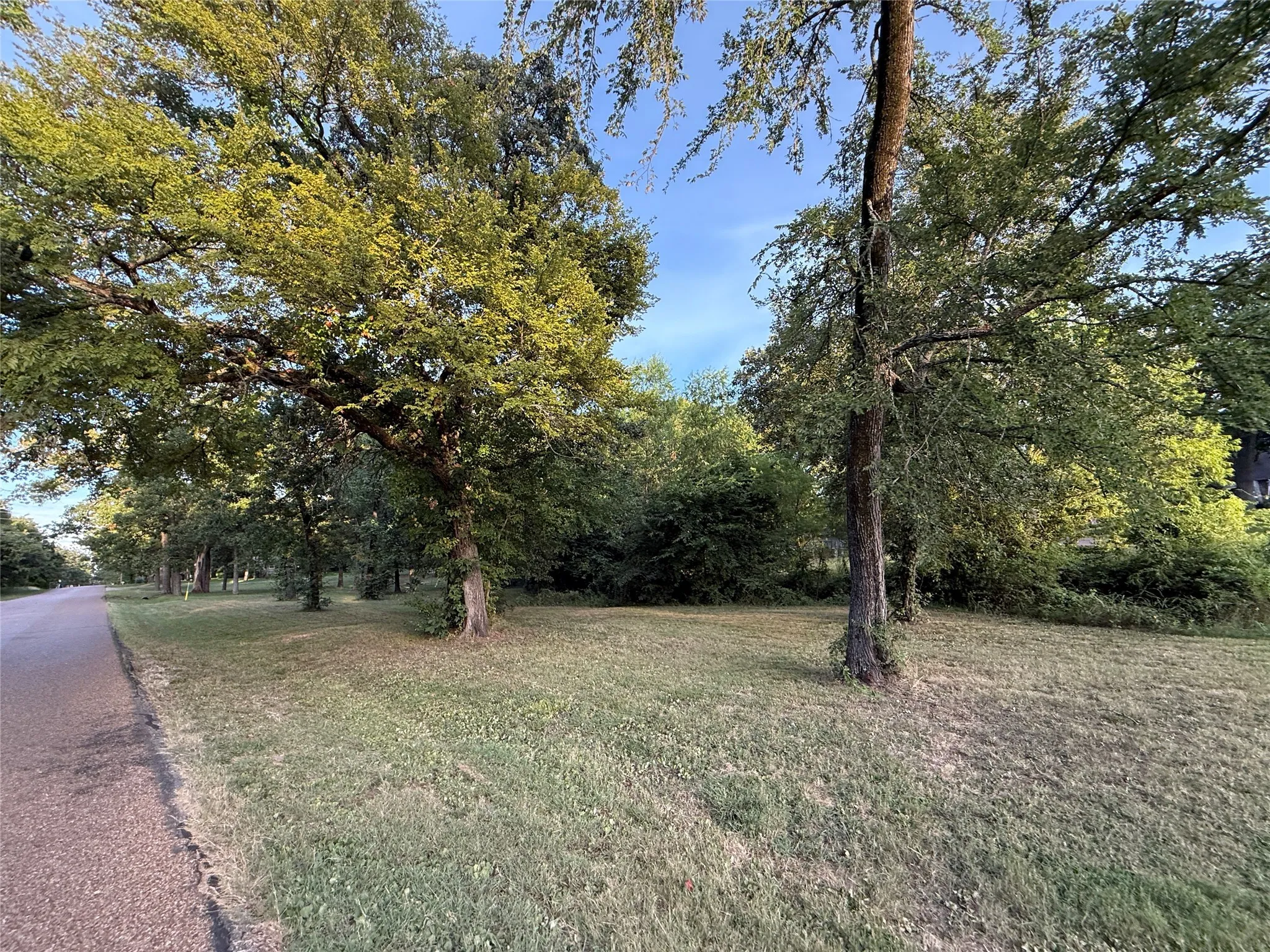 View of grassy yard