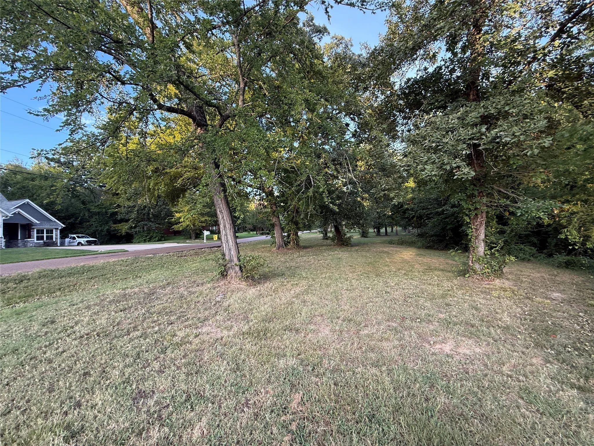 View of grassy yard