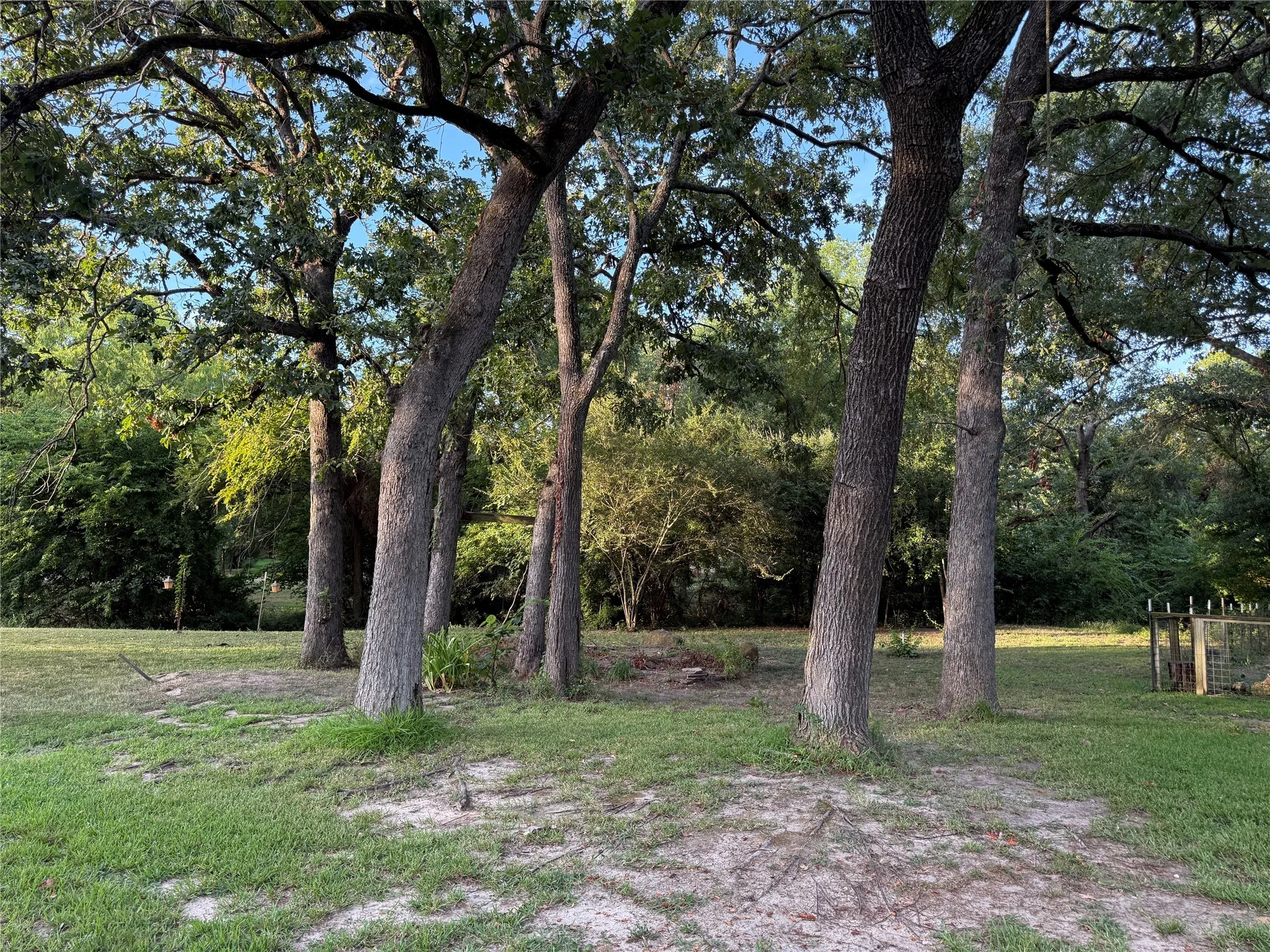 View of green lawn with view of wooded area
