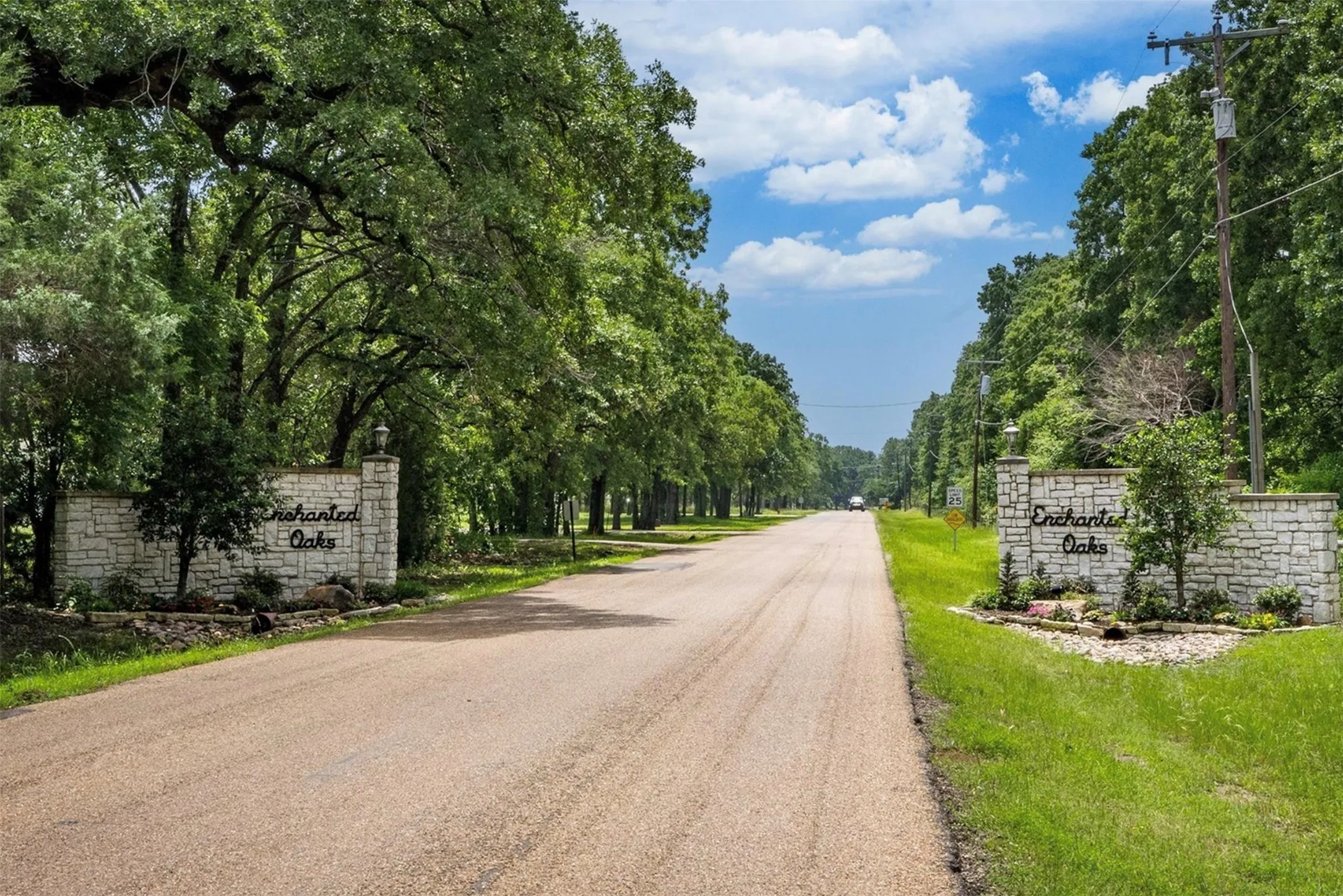 View of asphalt street featuring view of wooded area