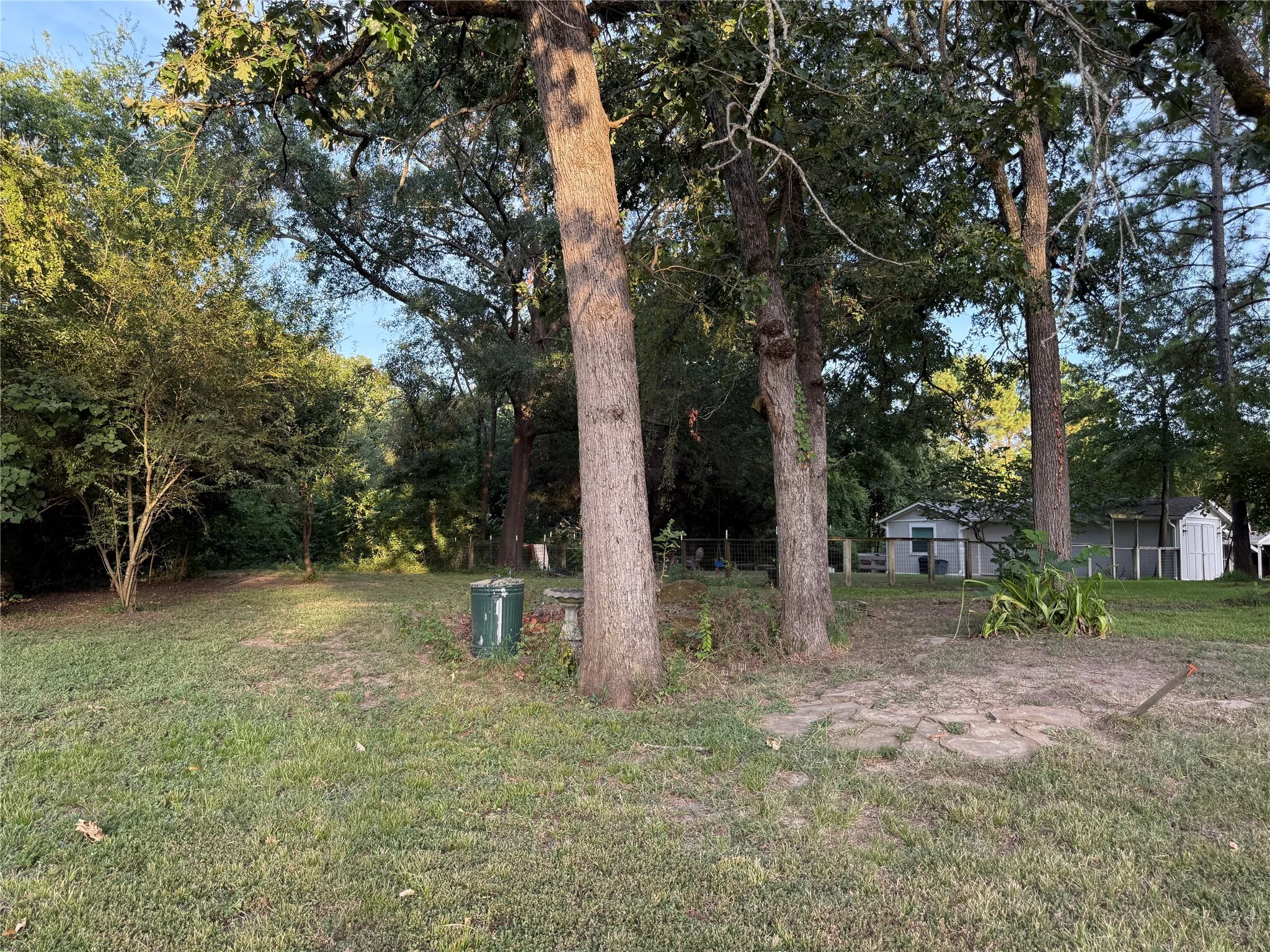 View of green lawn featuring view of scattered trees and a storage unit