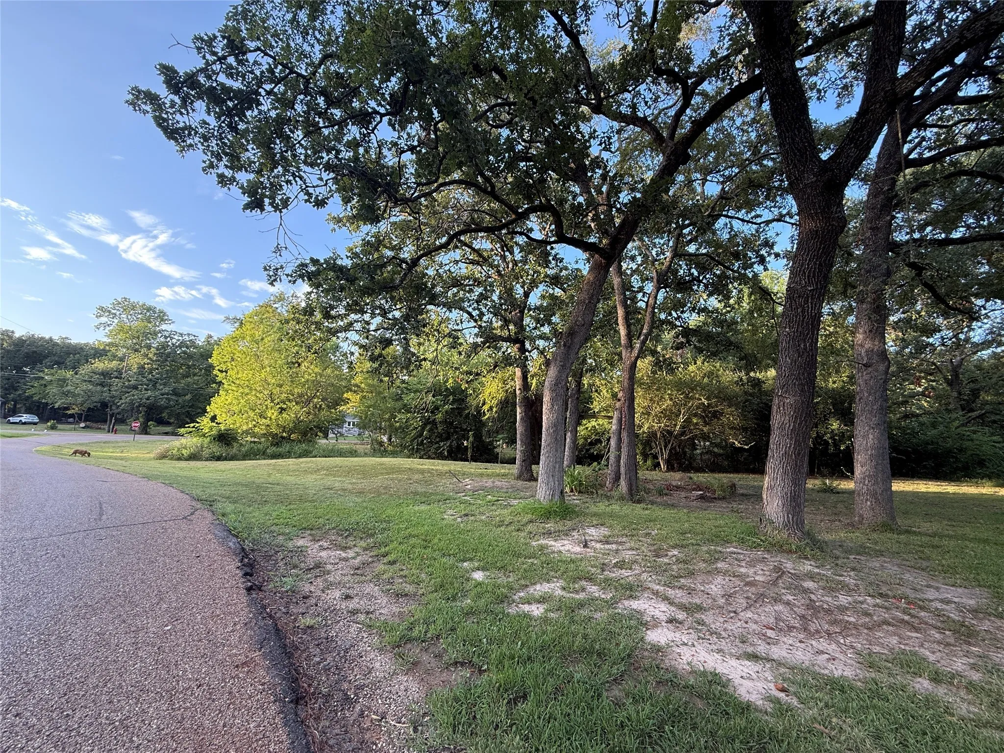 View of asphalt street featuring view of wooded area