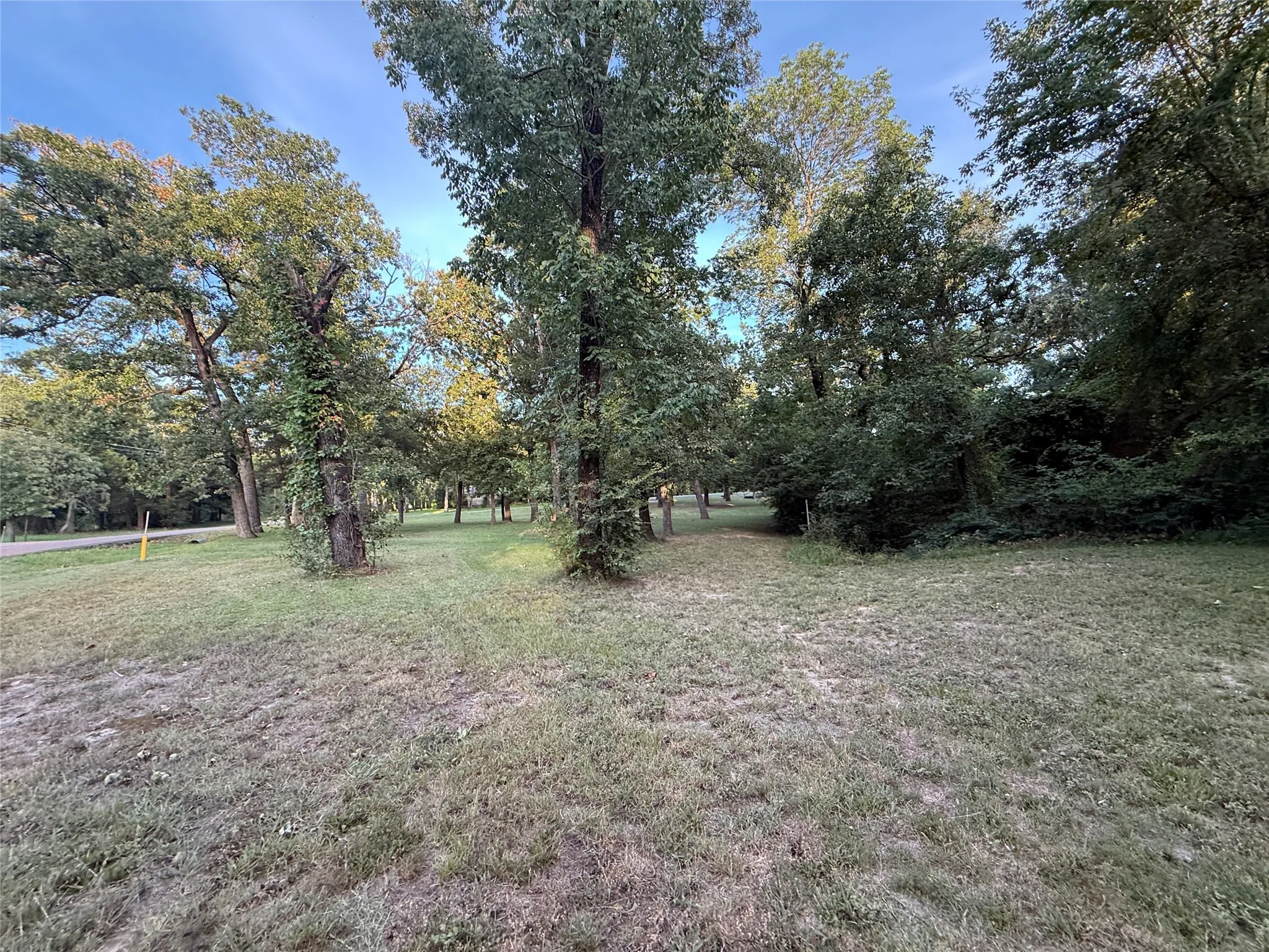View of green lawn