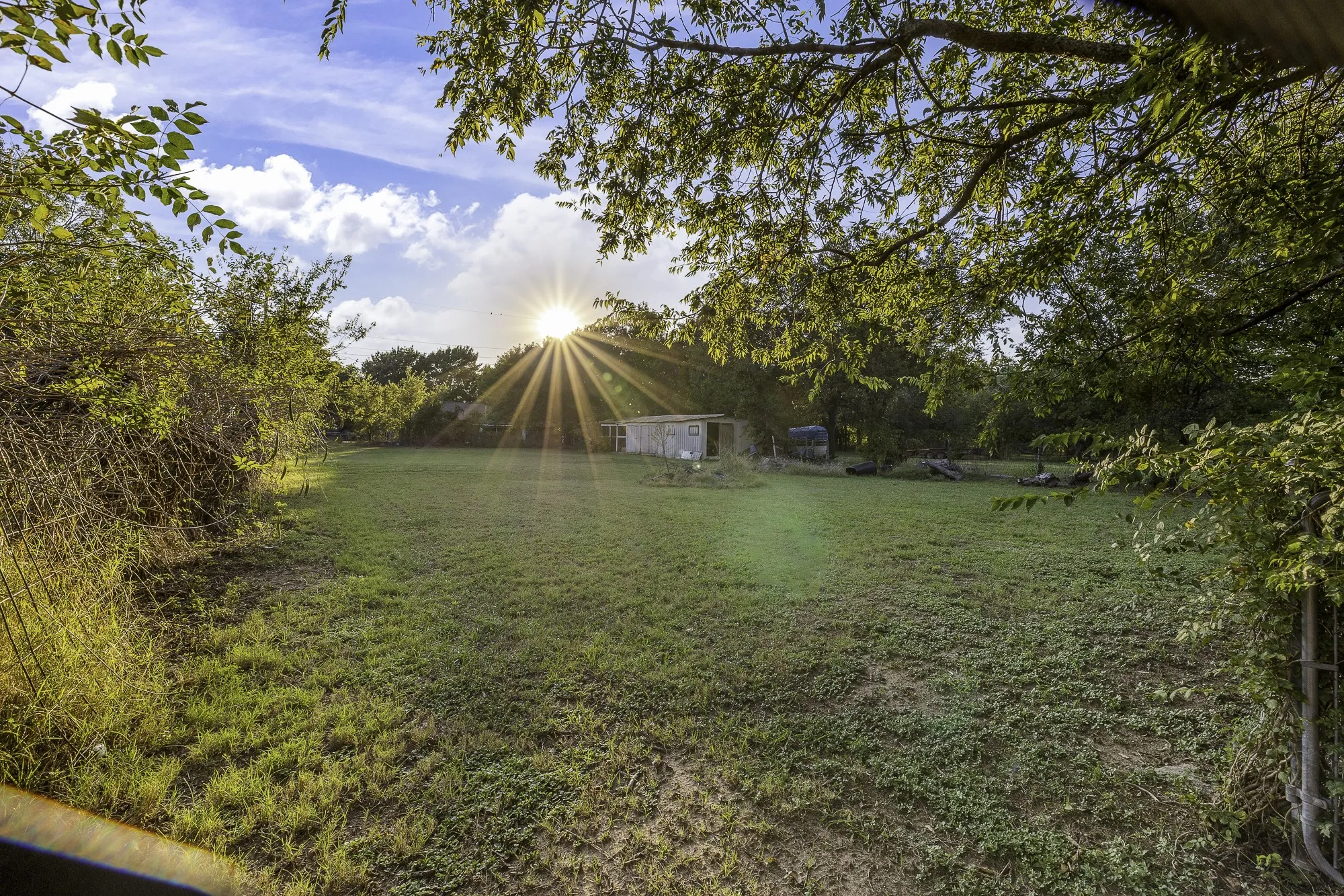 View of green lawn with view of wooded area