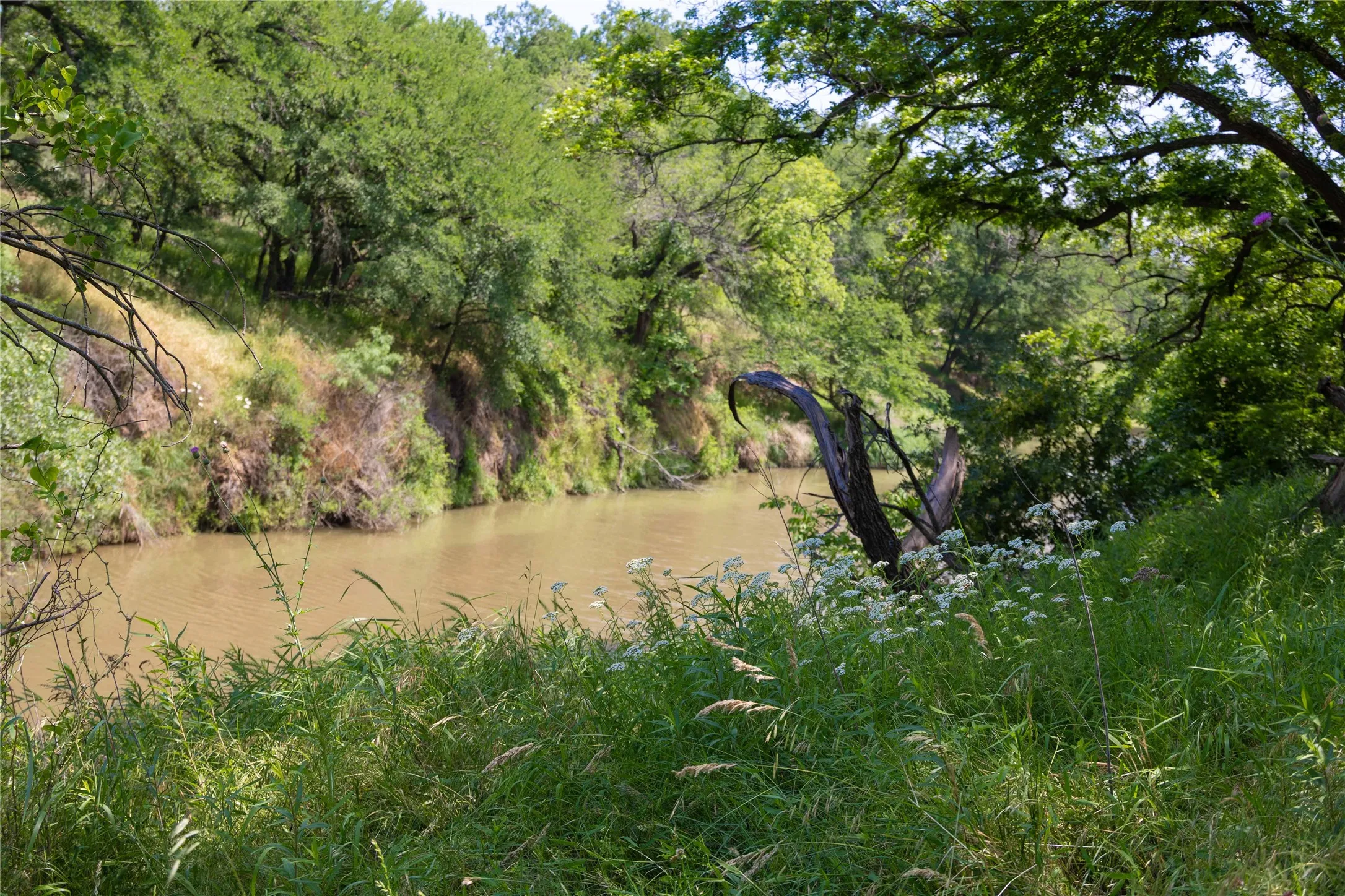 View of wooded area with a water view