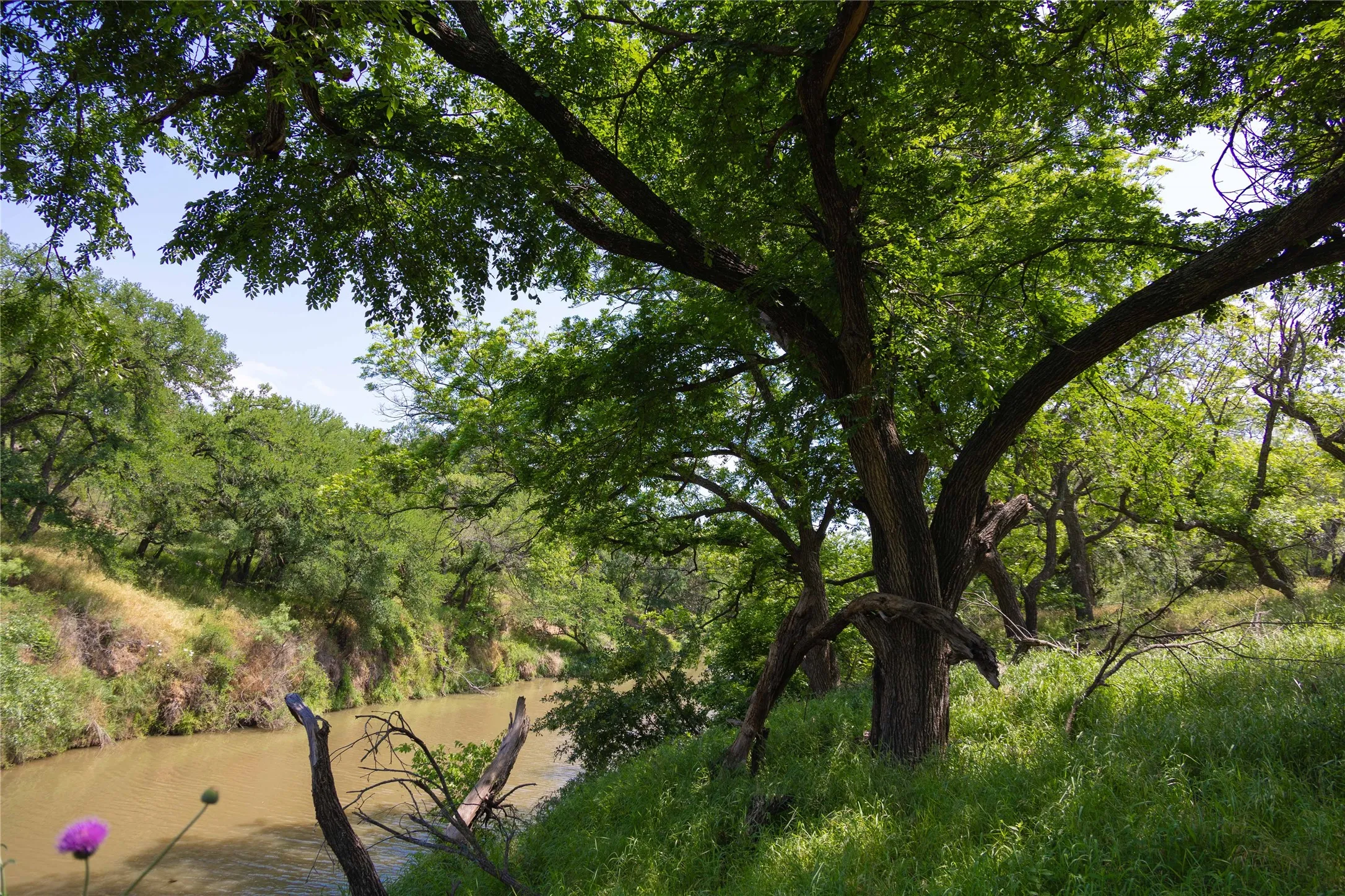 Ranch For Sale in Brown County , 000000 CR 267, Early, Texas 76802, 0, 0, Garage spaces, 0 Sqft, built in 0, mls#21078895, Real Estate Agent in Early, Homes For Sale in Brown county, Homes For Sale in Early, Realtor in Early Texas, Real Estate Brokerage Independent Realty Texas, Luminita Cordes Realtor