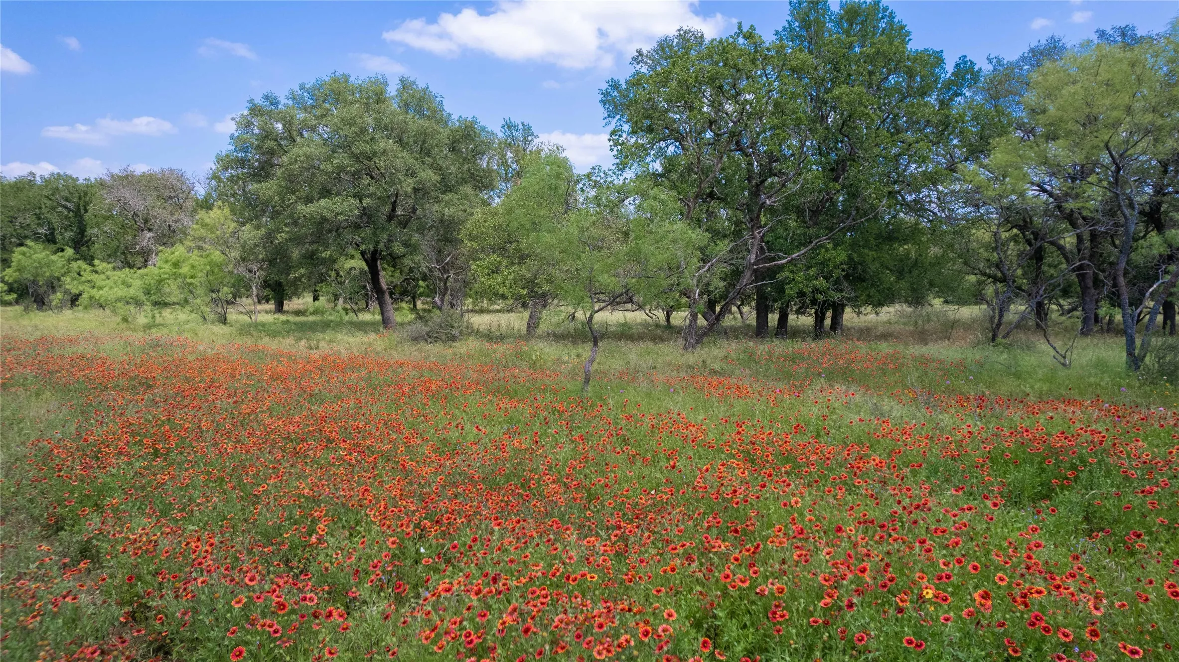 View of undeveloped land