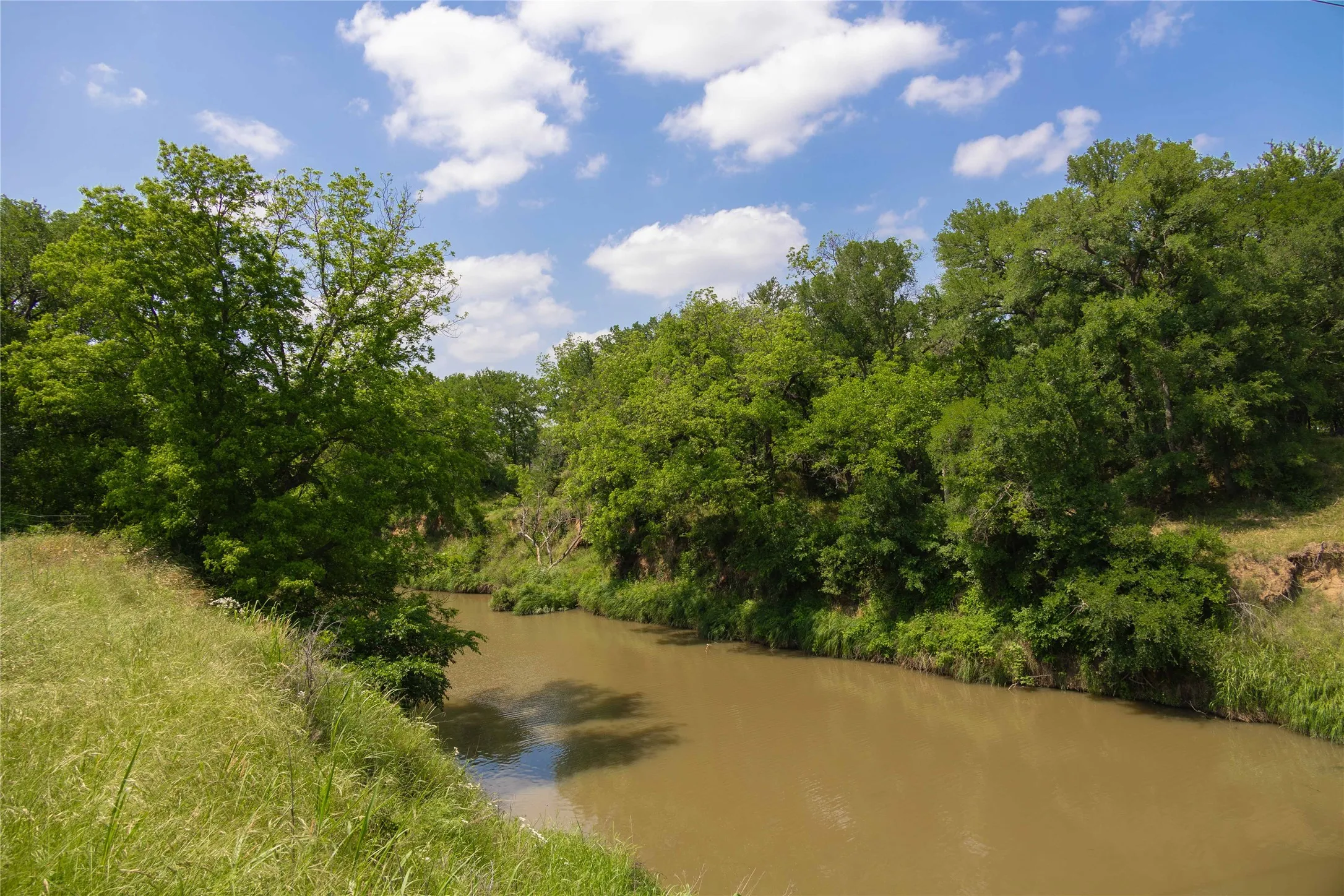 Water view with a forest