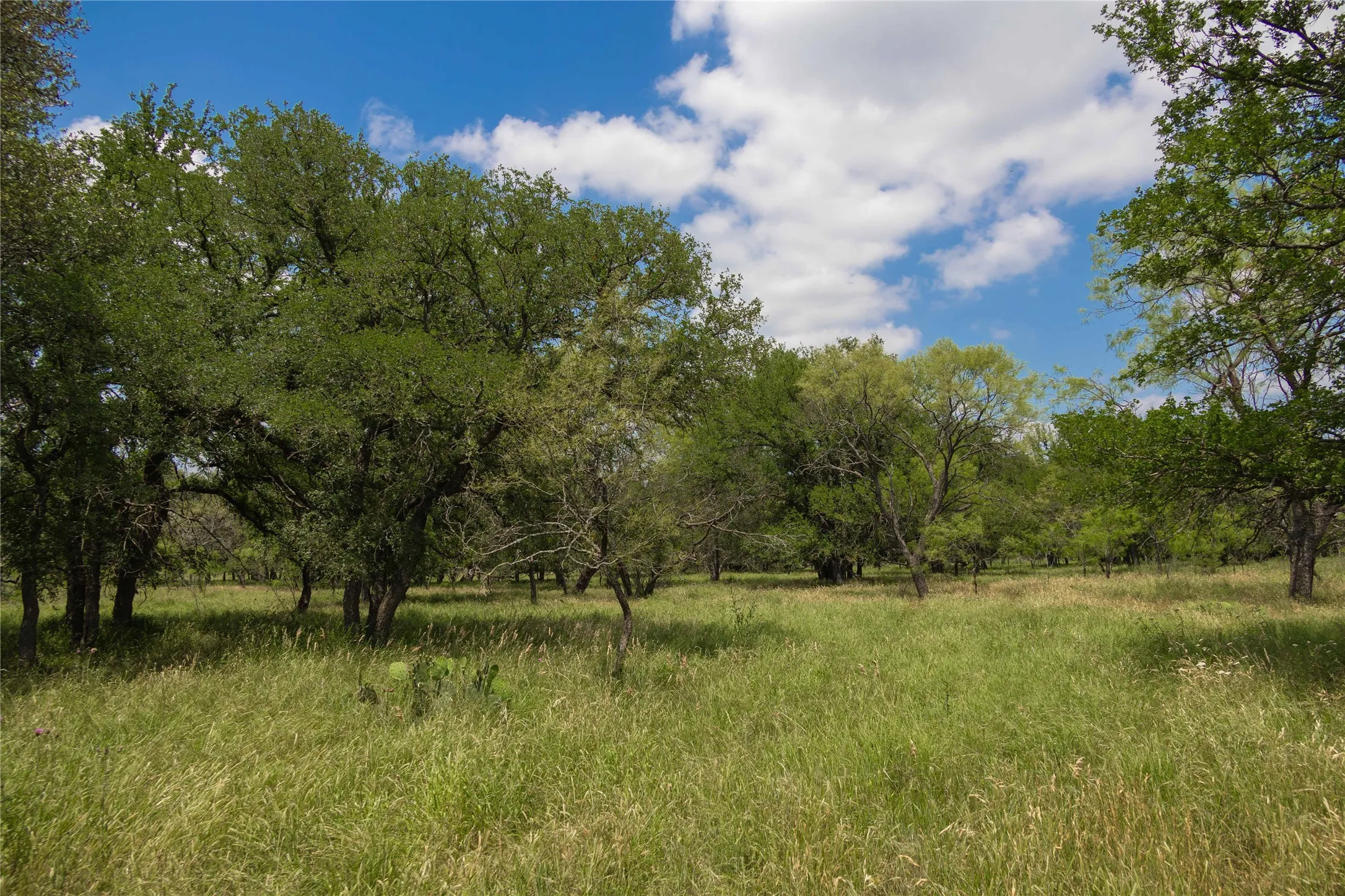View of local wilderness featuring rural landscape
