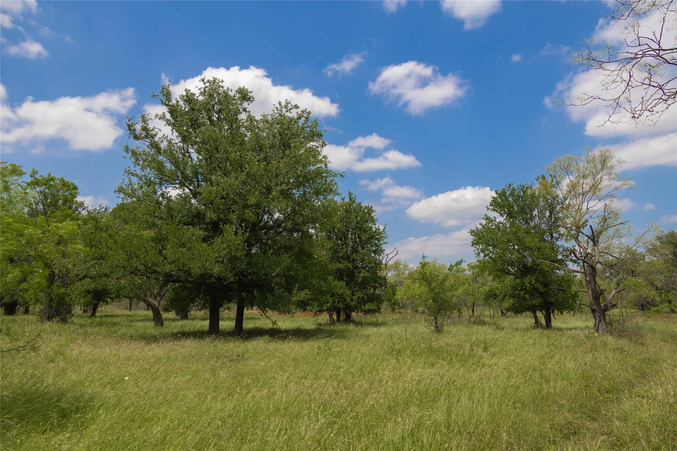 View of undeveloped land with rural landscape