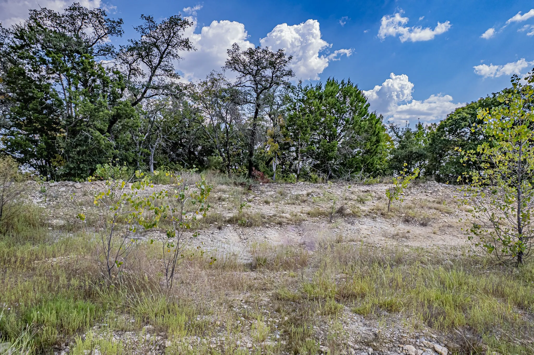 View of undeveloped land