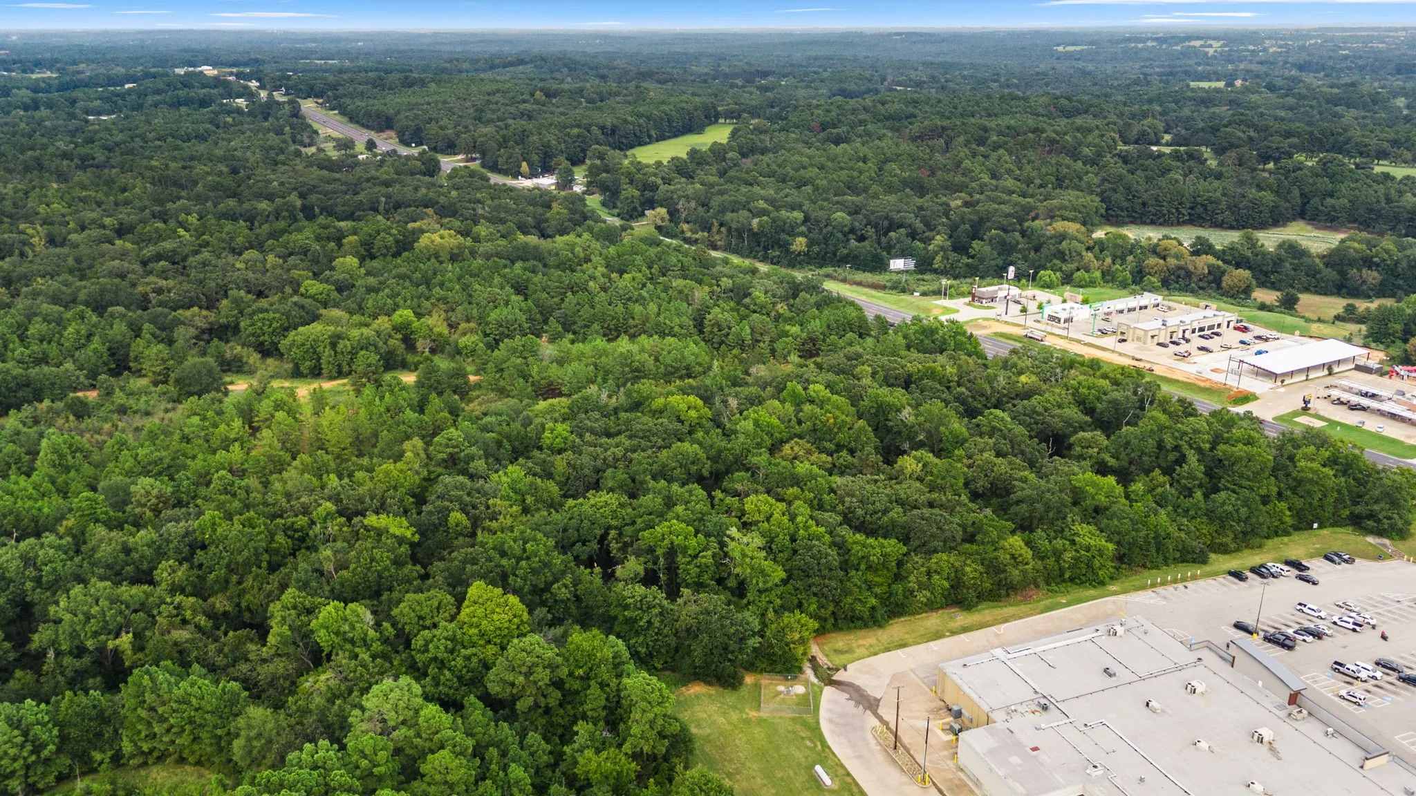 Drone / aerial view of a forest